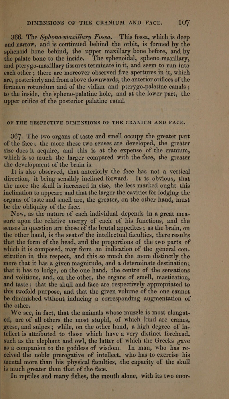 366. The Spheno-mawillary Fossa. This fossa, which is deep and narrow, and is corttinued behind the orbit, is formed by the sphenoid bone behind, the upper maxillary bone before, and by the palate bone to the inside. ‘The sphenoidal, spheno-maxillary, and pterygo-maxillary fissures terminate in it, and seem to run into each other ; there are moreover observed five apertures in it, which are, posteriorly and from above downwards, the anterior orifices of the foramen rotundum and of the vidian and pterygo-palatine canals ; to the inside, the spheno-palatine hole, and at the lower part, the upper orifice of the posterior palatine canal. OF THE RESPECTIVE DIMENSIONS OF THE CRANIUM AND FACE. 367. The two organs of taste and smell occupy the greater part size does it acquire, and this is at the expense of the cranium, which is so much the larger compared with the face, the greater the development of the brain is. It is also observed, that anteriorly the face has not a vertical direction, it being sensibly inclined forward. It is obvious, that the more the skull is increased in size, the less marked ought this inclination to appear; and that the larger the cavities for lodging the organs of taste and smell are, the greater, on the other hand, must be the obliquity of the face. Now, as the nature of each individual depends in a great mea- sure upon the relative energy of each of his functions, and the senses in question are those of the brutal appetites ; as the brain, on the other hand, is the seat of the intellectual faculties, there results that the form of the head, and the proportions of the two parts of which it is composed, may form an indication of the general con- stitution in this respect, and this so much the more distinctly the more that it has a given magnitude, and a determinate destination; that it has to lodge, on the one hand, the centre of the sensations and volitions, and, on the other, the organs of smell, mastication, and taste; that the skull and face are respectively appropriated to this twofold purpose, and that the given volume of the one cannot _ We see, in fact, that the animals whose muzzle is most elongat- ed, are of all others the most stupid, of which kind are cranes, geese, and snipes; while, on the other hand, a high degree of in- ecived the noble prerogative of intellect, who has to exercise his In reptiles and many fishes, the mouth alone, with its two enor-