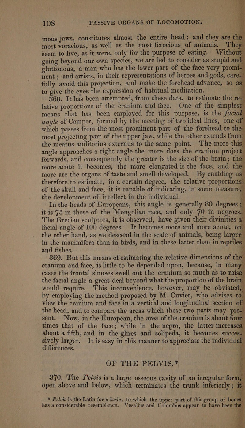 mous jaws, constitutes almost the entire head; and they are the most voracious, as well as the most ferocious of animals. They seem to live, as it were, only for the purpose of eating. Without going beyond our own species, we are led to consider as stupid and gluttonous, a man who has the lower part of the face very promi- nent ; and artists, in their representations of heroes and gods, care- fully avoid this projection, and make the forehead advance, so as” to give the eyes the expression of habitual meditation. # 368. It has been attempted, from these data, to estimate the re-_ lative proportions of the cranium and face. One of the simplest means that has been employed for this purpose, is the facial angle of Camper, formed by the meeting of two ideal lines, one of which passes from the most prominent part of the forehead to the most projecting part of the upper jaw, while the other extends from the meatus auditorius externus to the same point. The more this” angle approaches a right angle the more does the cranium project | forwards, and consequently the greater is the size of the brain; the more acute it becomes, the more elongated is the face, and the more are the organs of taste and smell developed. By enabling us_ therefore to estimate, in a certain degree, the relative proportions. of the skull and face, it is capable of indicating, in some measure, the development of intellect in the individual. s In the heads of Europeans, this angle is generally 80 degrees ; _ it is 75 in those of the Mongolian race, and only 70 in negroes. The Grecian sculptors, it is observed, have given their divinities a facial angle of 100 degrees. It becomes more and more acute, on the other hand, as we descend in the scale of animals, being larger in the mammifera than in birds, and in these latter than in reptiles” and fishes. i 369. But this means of estimating the relative dimensions of the cranium and face, is little to be depended upon, because, in man ¥ cases the frontal sinuses swell out the cranium so much as to raise the facial angle a great deal beyond what the proportion of the brain” would require. This inconvenience, however, may be obviated, by employing the method proposed by M. Cuvier, who advises -to view the cranium and face in a vertical and longitudinal section of the head, and to compare the areas which these two parts may pre- sent. Now, in the Kuropean, the area of the cranium is about four. times that of the face; while in the negro, the latter increases” about a fifth, and in the glires and solipeda, it becomes succes- sively larger. It is easy in this manner to appreciate the individagly ve differences. OF THE PELVIS. * 4 370. The Pelvis is a large osseous cavity of an irregular form, open above and below, which terminates the trunk inferiorly ; it * Pelvis is the Latin for a basin, to which the upper part of this group of bones has a considerable resemblance. Vesalius and Colombus appear to have been the