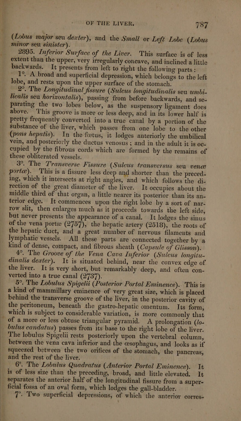 (Lobus major seu dexter), and the Small or Left Lobe (Lobus 2895. Inferior Surface of the Liver. This surface is of less extent than the upper, very irregularly concave, and inclined a little backwards. It presents from left to right the following parts : 1°. A broad and superficial depression, which belongs to the left lobe, and rests upon the upper surface of the stomach. 2°. The Longitudinal fissure (Sulcus longitudinalis seu umbi- licalis seu horizontalis), passing from before backwards, and se- parating the two lobes below, as the suspensory ligament does above. ‘l'his groove is more or less deep, and in its lower half is pretty frequently converted into a true canal by a portion of the substance of the liver, which passes from one lobe to the other (pons hepatis). In the foetus, it lodges anteriorly the umbilical vein, and posteriorly the ductus venosus ; and in the adult it is oc- cupied by the fibrous cords which are formed by the remains of these obliterated vessels. 3°. The Transverse Fissure (Sulcus transversus seu vena ing, which it intersects at right angles, and which follows the di- rection of the great diameter of the liver. It occupies about the middle third of that organ, a little nearer its posterior than its an- terior edge. It commences upon the right lobe by a sort of nar- row slit, then enlarges much as it proceeds towards the left side, but never presents the appearance of a canal. It lodges the sinus of the vena porte (2757), the hepatic artery (2518), the roots of the hepatic duct, and a great number of nervous filaments and lymphatic vessels. All these parts are connected together by a kind of dense, compact, and fibrous sheath (Capsule of Glisson). 4°. The Groove of the Vena Cava Inferior (Sulcus longitu- dinalis dexter). It is situated behind, near the convex edge of the liver. It is very short, but remarkably deep, and often con- verted into a true canal (2737). 5°. The Lobulus Spigelii (Posterior Portal Eminence).. This is a kind of mammillary eminence of very great size, which is placed behind the transverse groove of the liver, in the posterior cavity of the peritoneum, beneath the gastro-hepatic omentum. Its form, which is subject to considerable variation, is more commonly that The lobulus Spigelii rests posteriorly upon the vertebral column, between the vena cava inferior and the cesophagus, and looks as if squeezed between the two orifices of the stomach, the pancreas, and the rest of the liver. : 6. The Lobulus Quadratus (Anterior Portal Eminence). It is of less size than the preceding, broad, and little elevated. It separates the anterior half of the longitudinal fissure from a super- ficial fossa of an oval form, which lodges the gall-bladder. 7. Two superficial depressions, of which the anterior corres«