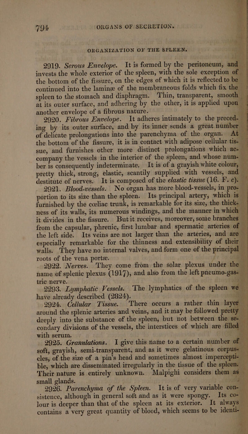 ORGANIZATION OF THE SPLEEN. 2919. Serous Envelope. It is formed by the peritoneum, and the bottom of the fissure, on the edges of which it is reflected to be another envelope of a fibrous nature. ing by its outer surface, and by its inner sends a great number the bottom of the fissure, it is in contact with adipose cellular tis- pretty thick, strong, elastic, scantily supplied with vessels, and destitute of nerves. It is composed of the elastic tissue (16. F’. c). 2921. Blood-vessels. No organ has more blood-vessels, in pro- portion to its size than the spleen. Its principal. artery, which is furnished by the cceliac trunk, is remarkable for its size, the thick- ness of its walls, its numerous windings, and the manner in which roots of the vena porte. tric nerve. | 2293. Lymphatic Vessels. ‘The lymphatics of the spleen we have already described (2824). with serum. lour is deeper than that of the spleen at its exterior. It always contains a very great quantity of blood, which seems to be identi-