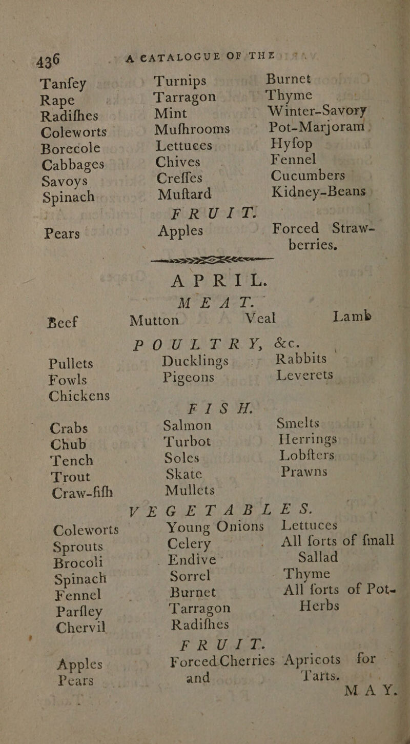 Tanfey Rape Borecole Cabbages Savoys Spinach Pears Beef Pullets Fowls Chickens Crabs Chub Tench Trout Craw-fifh Coleworts Sprouts Brocoli Spinach Fennel Parfley Chervil Apples Pears Celery Sorrel Burnet Tarragon and Lettuces Sallad Turnips Burnet Tarragon Thyme Mint Winter-Savory Mufhrooms — Pot-Marjoram | Lettuces Hyfop Chives Fennel Creffes Cucumbers — Mutftard Kidney-Beans ) PERACS NT ae . Apples Forced Straw- berries. eee a AG Pee Tey. di Kecge Duayrs or WY BAS | Veal Lamb POT BARRY icc. Ducklings Rabbits Pigcons Leverets Y tae 5 Salmon Smelts Turbot Herrings Soles Lobfters Skate Prawns Mullets Herbs Tarts.