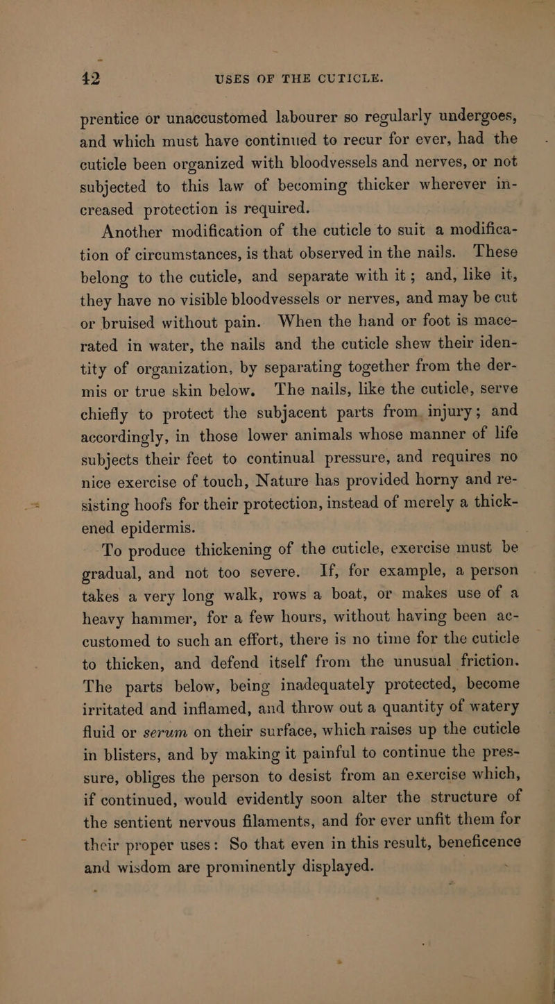 prentice or unaccustomed labourer so regularly undergoes, and which must have continued to recur for ever, had the cuticle been organized with bloodvessels and nerves, or not subjected to this law of becoming thicker wherever in- creased protection is required. Another modification of the cuticle to suit a modifica- tion of circumstances, is that observed in the nails. These belong to the cuticle, and separate with it; and, like it, they have no visible bloodvessels or nerves, and may be cut or bruised without pain. When the hand or foot is mace- rated in water, the nails and the cuticle shew their iden- tity of organization, by separating together from the der- mis or true skin below. The nails, like the cuticle, serve chiefly to protect the subjacent parts from, injury; and accordingly, in those lower animals whose manner of life subjects their feet to continual pressure, and requires no nice exercise of touch, Nature has provided horny and re- sisting hoofs for their protection, instead of merely a thick- ened epidermis. gradual, and not too severe. If, for example, a person takes a very long walk, rows a boat, or makes use of a heavy hammer, for a few hours, without having been ac- customed to such an effort, there is no time for the cuticle to thicken, and defend itself from the unusual friction. The parts below, being inadequately protected, become irritated and inflamed, and throw out a quantity of watery fluid or serum on their surface, which raises up the cuticle in blisters, and by making it painful to continue the pres- sure, obliges the person to desist from an exercise which, if continued, would evidently soon alter the structure of the sentient nervous filaments, and for ever unfit them for their proper uses: So that even in this result, beneficence and wisdom are prominently displayed. ; pints 20.