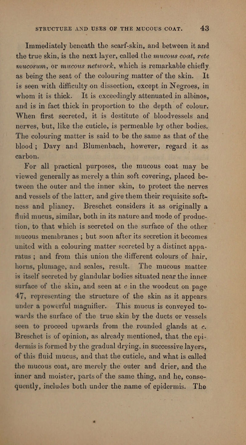 Immediately beneath the scarf-skin, and between it and the true skin, is the next layer, called the mucous coat, rete mucosum, or mucous network, which is remarkable chiefly as being the seat of the colouring matter of the skin. It is seen with difficulty on dissection, except in Negroes, in whom it is thick. It is exceedingly attenuated in albinos, and is in fact thick in proportion to the depth of colour. When first secreted, it is destitute of bloodvessels and nerves, but, like the cuticle, is permeable by other bodies. The colouring matter is said to be the same as that of the blood; Davy and Blumenbach, however, regard it as carbon. 2 . For all practical purposes, the mucous coat may be viewed generally as merely a thin soft covering, placed be- tween the outer and the inner skin, to protect the nerves and vessels of the latter, and give them their requisite soft- ness and pliancy. Breschet considers it as originally a fluid mucus, similar, both in its nature and mode of produc- tion, to that which is secreted on the surface of the other mucous membranes ; but soon after its secretion it becomes united with a colouring matter secreted by a distinct appa- ratus ; and from this union the different colours of hair, horns, plumage, and scales, result. The mucous matter is itself secreted by glandular bodies situated near the inner surface of the skin, and seen at ¢ in the woodcut on page 47, representing the structure of the skin as it appears under a powerful magnifier. This mucus is conveyed to- wards the surface of the true skin by the ducts or vessels seen to proceed upwards from the rounded glands at c. Breschet is of opinion, as already mentioned, that the epi- dermis is formed by the gradual drying, in successive layers, of this fluid mucus, and that the cuticle, and what is called the mucous coat, are merely the outer and drier, and the inner and moister, parts of the same thing, and he, conse- quently, includes both under the name of epidermis. The