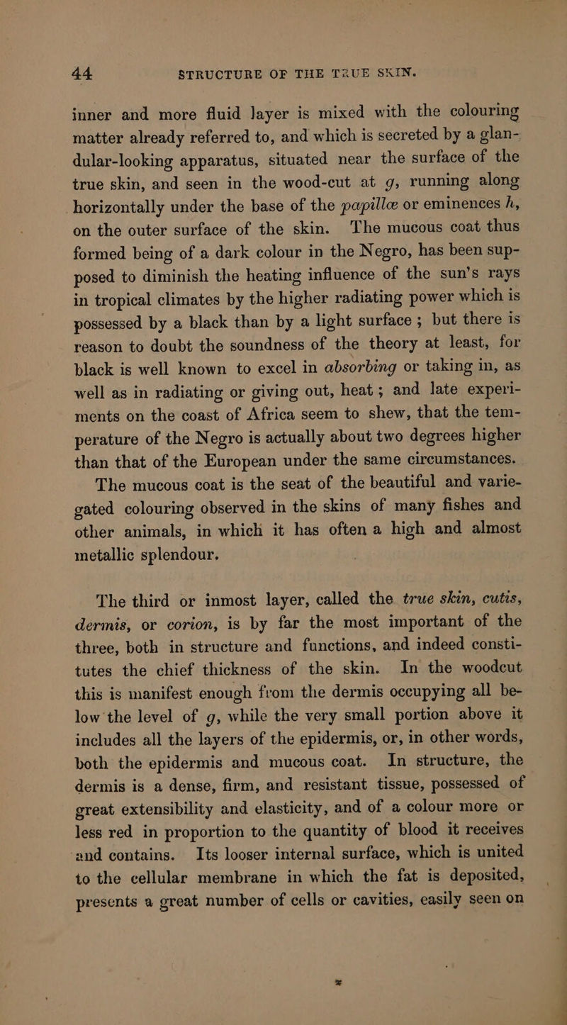 inner and more fluid Jayer is mixed with the colouring matter already referred to, and which is secreted by a glan- dular-looking apparatus, situated near the surface of the true skin, and seen in the wood-cut at g, running along horizontally under the base of the papilic or eminences h, on the outer surface of the skin. The mucous coat thus formed being of a dark colour in the Negro, has been sup- posed to diminish the heating influence of the sun’s rays in tropical climates by the higher radiating power which is possessed by a black than by a light surface ; but there is reason to doubt the soundness of the theory at least, for black is well known to excel in absorbing or taking in, as well as in radiating or giving out, heat ; and late experi- ments on the coast of Africa seem to shew, that the tem- perature of the Negro is actually about two degrees higher than that of the European under the same circumstances. The mucous coat is the seat of the beautiful and varie- gated colouring observed in the skins of many fishes and other animals, in which it has often a high and almost metallic splendour, The third or inmost layer, called the true skin, cutis, dermis, or corion, is by far the most important of the three, both in structure and functions, and indeed consti- tutes the chief thickness of the skin. In the woodcut this is manifest enough from the dermis occupying all be- low the level of g, while the very small portion above it includes all the layers of the epidermis, or, in other words, both the epidermis and mucous coat. In structure, the dermis is a dense, firm, and resistant tissue, possessed of great extensibility and elasticity, and of a colour more or less red in proportion to the quantity of blood it receives ‘and contains. Its looser internal surface, which is united to the cellular membrane in which the fat is deposited, presents a great number of cells or cavities, easily seen on a =