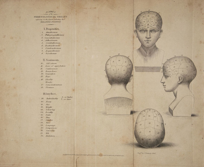 aha ‘i PHRENOLOGICAL ORGANS Ree referring to the figures indicating Meare 5) ‘ | . RELATIVE POSITION as 1. Propensities. ? 1. Amativeness ue : . 2. Philoprogentiveness soa ne “4 3. Concentrativeness 4, Adhesiveness | 5. Combatveness * # 6. Destructiveness - 7. Constructiveness NG 8. Acquisitiveness I. Secretiveness . IL. Sentiments. AO Self estecrnl ORE Gt PEN RB PS a RS SIN a Se oh rs Tcl IE Sy a EI eee Me Ds Lowe af: apprabatar O82. heme ek oo TU pit Sa ns As i ee % \ RQ. Cautwusness as AB. Benevolent oN ee i oe 14, Veneration , Sea P 135, Hop é NK SN Pr _ 16. Ideatty i : q Wonder PD ‘ 17. Consctentiousness bo? ark Ge a 18. Firmness : ; om , | ; HL Intellect. esta, aaa NE eo 27 pe ip hegs et 2 19. Indwiduality 9 on ower ~ 20. Form a t: “ane rd e SEE ‘ % a ‘ Colouring Localty | = Order : - Time | . Le | a Tune / S So ae pa ae -7 / / / 7 te: Language + , COMPATISOW Causality ‘ Wit Imitation’ Eng? by C.Thomson Edin” BLISHED BY JOHN ANDERSON JUN#48 NORTH BRID GE,STREET 1825 M | Bins 4 i e: 2 : , : ‘ EDINB URGHPUR