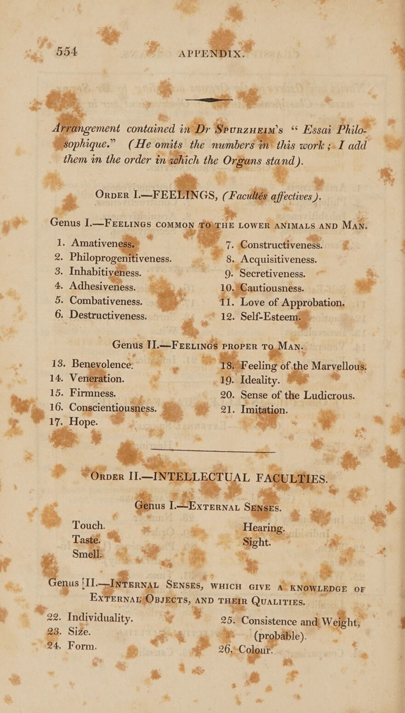 sa” 554 an at omit : 4 fs a ae : aa contained in Dr Beas ms * Essai Philo. ophique.” (He omits the numbers im this work ; I add them i in the order in which the Pt all stand). *. ;= OrperR I nt, ay (Facu lis affective ). 3 * te s ¥?’ Genus I.— FEELINGS cou HE LOWER ANIMALS AND Man. . . ih =e Lr * vif 5 Amativendg | ‘f Gonstructhyenet. é. : nitiveness. ¢ . Philoproge 8. Acquisitiveness. 9. Secretiveness. ~~ 23 3 %.. 4. Adhesiveness. 3 ‘ 0. Cautiousness. ian . 5. Combativeness. ~~ 11. Love of Approbation. a 6. Destructiveness. a 12. Sele Eeteengi ois . ee a, , Genus TI. 2 Feevinds PROPER T . Be olence. a . * Herat cee ; : Vergltic on. # : Inhabit ome. » RS, Ideality 20. Sense of the Migiecon Ves le . Firmness. : Ree te 3 _— ie. 7enus | ms L RA, WHICH GIVE ro ae GE OF ; . EXTERNAL ante AND THE QuaLities. — : | - 2 = Be Individuali te 3 A ogre uality. w 258 ie and. eight, j ah (probable). | ~ -24. Form. ie say - a a tn ; 3 “ og a &amp; | ) is + + * *