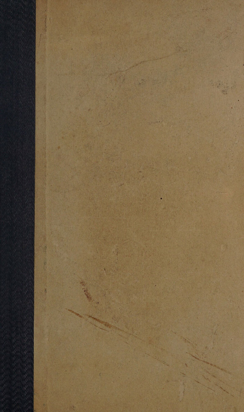 ayer =f ceric ies ats = i ead 3