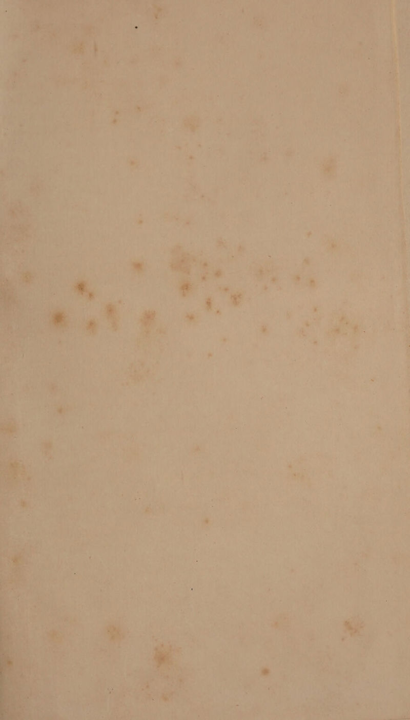 ’ y sar ~*~ <= a en eee