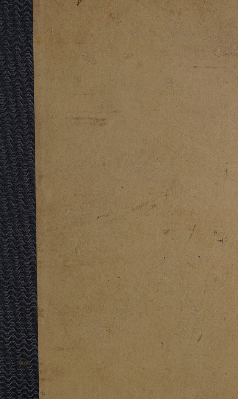 Ais Te Be ‘i ; i f Ney f \ “