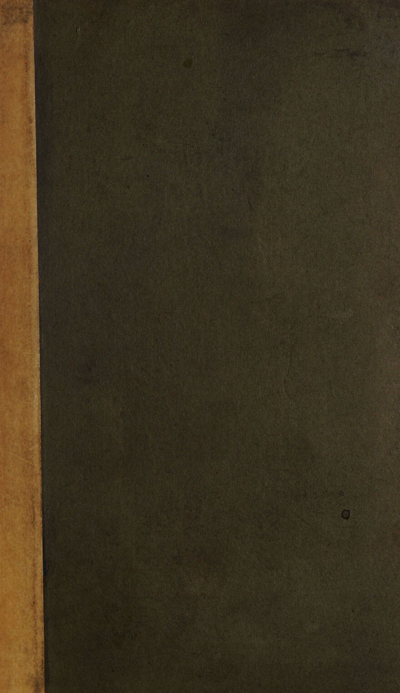 ; ; reo f q 1 ) i \ : ENT i ) : \ ’ ’ \ ayy : i i : 3 Sipe ei ‘ 4 MY ¥ex x + *Y i { Vs ¥