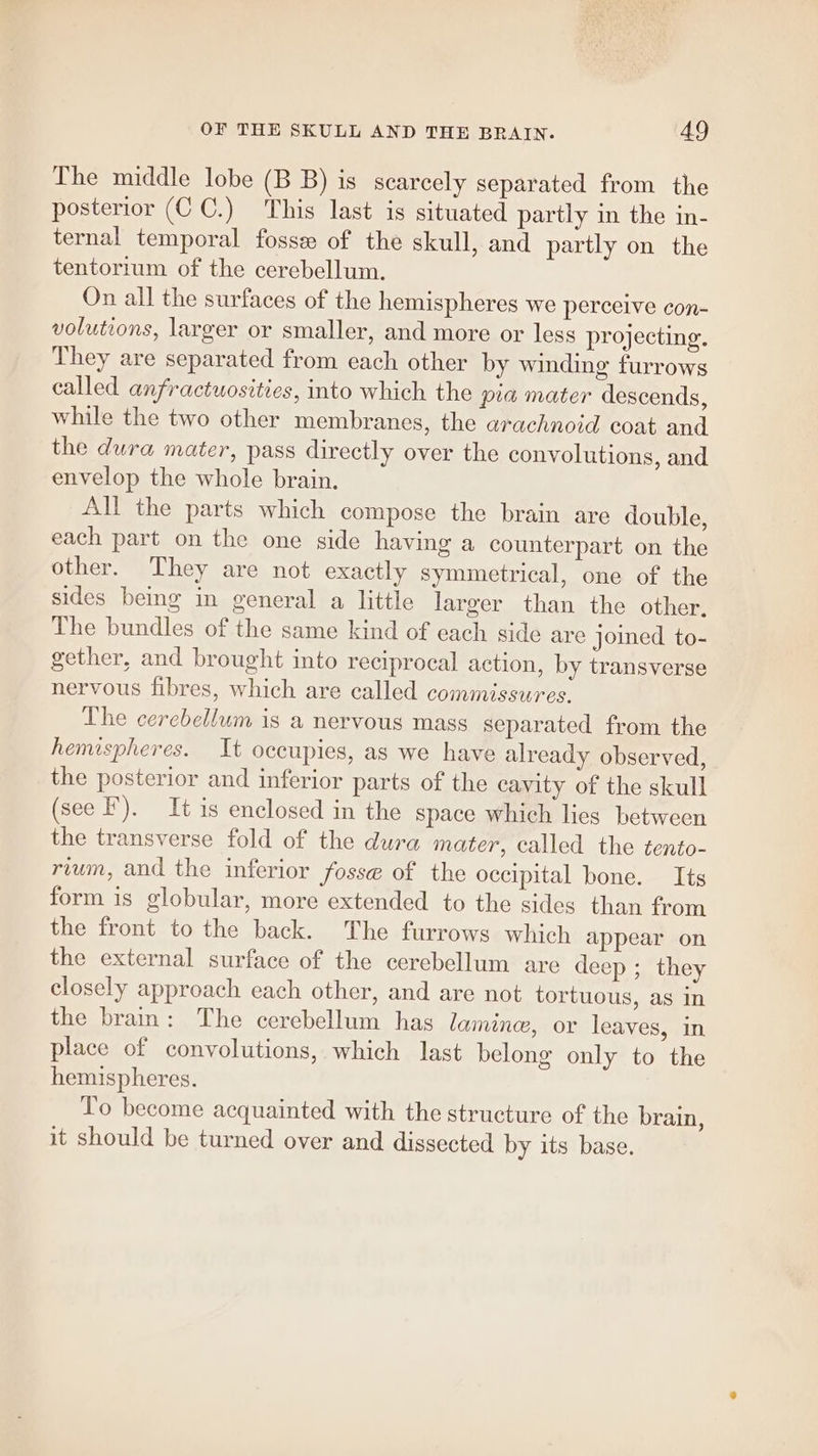 The middle lobe (B B) is scarcely separated from the posterior (C C.) This last is situated partly in the in- ternal temporal fosse of the skull, and partly on the tentorium of the cerebellum. On all the surfaces of the hemispheres we perceive con- volutions, larger or smaller, and more or less projecting. They are separated from each other by winding furrows called anfractuosities, into which the pia mater descends, while the two other membranes, the arachnoid coat and the dura mater, pass directly over the convolutions, and envelop the whole brain. All the parts which compose the brain are double, each part on the one side having a counterpart on the other. They are not exactly symmetrical, one of the sides being in general a little larger than the other, The bundles of the same kind of each side are joined to- gether, and brought into reciprocal action, by transverse nervous fibres, which are called commissures. The cerebellum is a nervous mass separated from the hemispheres. It occupies, as we have already observed, the posterior and inferior parts of the cavity of the skull (see I). It is enclosed in the space which lies between the transverse fold of the dura mater, called the tento- rium, and the inferior fosse of the occipital bone. Its form is globular, more extended to the sides than from the front to the back. The furrows which appear on the external surface of the cerebellum are deep ; they closely approach each other, and are not tortuous, as in the bram: The cerebellum has lamine, or leaves, in place of convolutions, which last belong only to the hemispheres. To become acquainted with the structure of the brain, it should be turned over and dissected by its base.