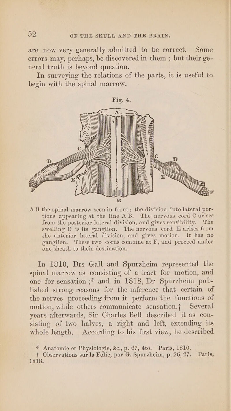 are now very generally admitted to be correct. Some errors may, perhaps, be discovered in them ; but their ge- neral truth is beyond question. In surveying the relations of the parts, 1t is useful to begin with the spinal marrow. NX WWS \ A.B the spinal marrow seen in front; the division into lateral por- tions appearing at the line AB. The nervous cord C arises from the posterior lateral division, and gives sensibility. The swelling D isits ganglion. The nervous cord H arises from the anterior lateral division, and gives motion. It has no ganglion. These two cords combine at F, and proceed under one sheath to their destination. In 1810, Drs Gall and Spurzheim represented the spinal marrow as consisting of a tract for motion, and one for sensation ;* and in 1818, Dr Spurzheim pub- lished strong reasons for the inference that certain of the nerves proceeding from it perform the functions of motion, while others communicate sensation.; Several years afterwards, Sir Charles Bell described it as con- sisting of two halves, a right and left, extending its whole length. According to his first view, he described * Anatomie et Physiologie, &amp;c., p. 67, 4to. Paris, 1810. t Observations sur la Folie, par G. Spurzheim, p. 26,27. Paris, 1818.