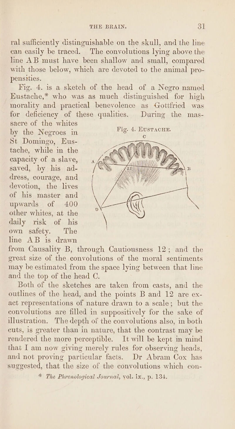 ral sufficiently distinguishable on the skull, and the line can easily be traced. The convolutions lying above the Ime AB must have been shallow and small, compared with those below, which are devoted to the animal pro- pensities. Fig. 4. is a sketch of the head of a Negro named HKustache,* who was as much distinguished for high morality and practical benevolence as Gottfried was for deficiency of these qualities. During the mas- sacre of the whites by the Negroes in St Domingo, Eus- tache, while in the capacity of a slave, saved, by his ad- dress, courage, and devotion, the lives of his master and upwards of 400 other whites, at the daily risk of his own safety. The line AB is drawn from Causality B, through Cautiousness 12; and the great size of the convolutions of the moral sentiments may be estimated from the space lying between that line and the top of the head C. Both of the sketches are taken from casts, and the outlines of the head, and the points B and 12 are ex- act representations of nature drawn to a scale; but the convolutions are filled in suppositively for the sake of illustration. The depth of the convolutions also, in both cuts, is greater than in nature, that the contrast may be rendered the more perceptible. It will be kept in mind that I am now giving merely rules for observing heads, and not proving particular facts. Dr Abram Cox has suggested, that the size of the convolutions which con- * The Phrenological Journal, vol. ix., p. 134.