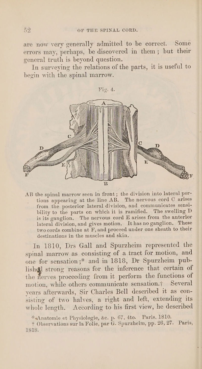 Sy OF THE SPINAL CORD. are now very generally admitted to be correct. Some errors may, perhaps, be discovered in them; but their general truth is beyond question. In surveying the relations of the parts, it is useful to begin with the spinal marrow. 7 ee Fig. 4. AB the spinal marrow seen in front; the division into lateral por- tions appearing at the line AB. The nervous cord © arises from the posterior lateral division, and communicates sensi- bility to the parts on which it is ramified. The swelling D is its ganglion. The nervous cord E arises from the anterior lateral division, and gives motion. It has no ganglion. These two cords combine at F, and proceed under one sheath to their destinations in the muscles and skin. In 1810, Drs Gall and Spurzheim represented the spinal marrow as consisting of a tract for motion, and one for sensation ;* and in 1818, Dr Spurzheim pub- lish@l strong reasons for the inference that certain of the Nerves proceeding from it perform the functions of motion, while others communicate sensation.j Several years afterwards, Sir Charles Bell described it as con- sisting of two halves, a right and left, extending its whole length. According to his first view, he described *«Anatomie et Physiologie, &c. p. 67, 4to. Paris, 1810. + Observations sur la Folie, par G. Spurzheim, pp. 26, 27. Paris, 1818.