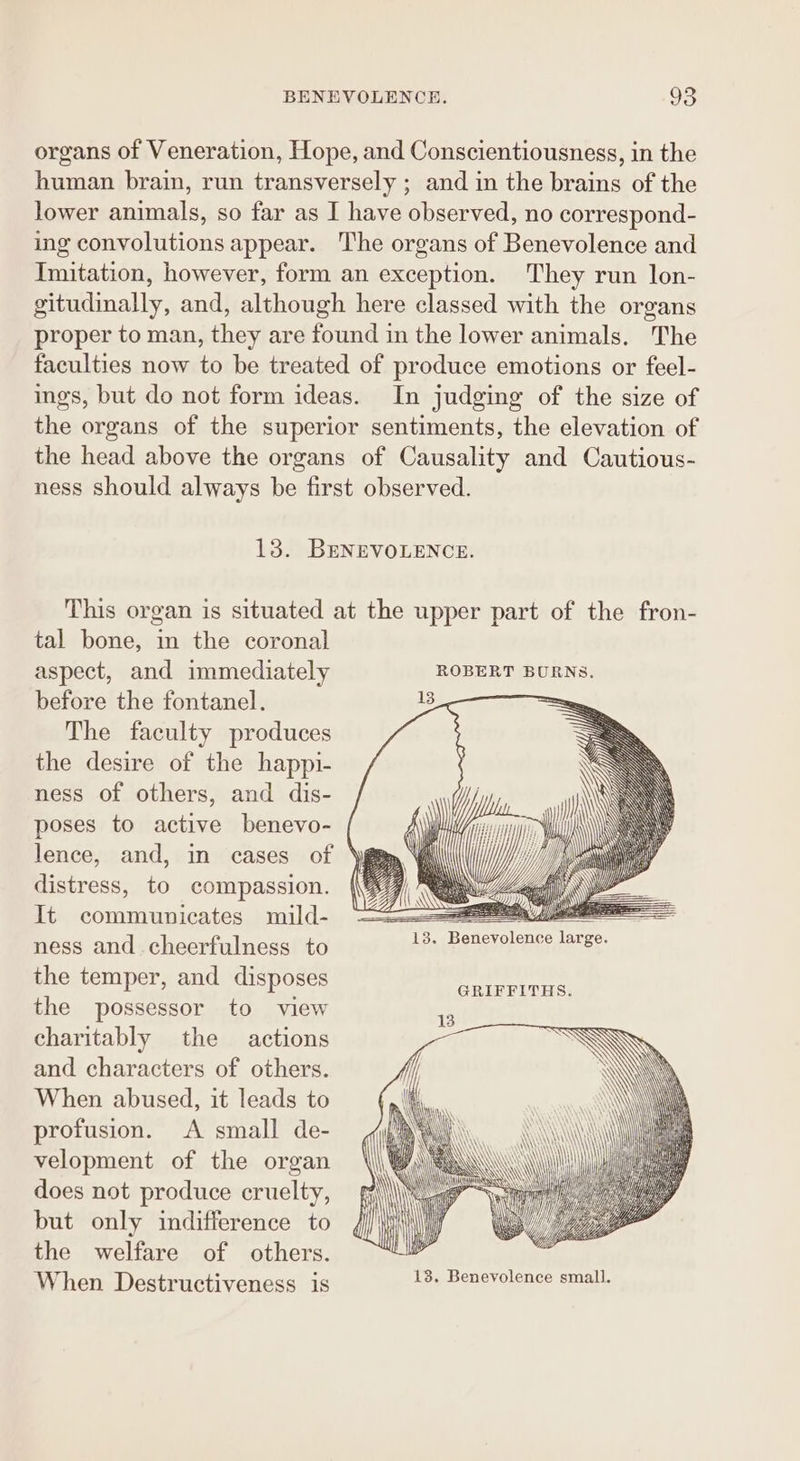 organs of Veneration, Hope, and Conscientiousness, in the human brain, run transversely ; and in the brains of the lower animals, so far as I have observed, no correspond- ing convolutions appear. The organs of Benevolence and Imitation, however, form an exception. They run lon- gitudinally, and, although here classed with the organs proper to man, they are found in the lower animals. The faculties now to be treated of produce emotions or feel- ings, but do not form ideas. In judging of the size of the organs of the superior sentiments, the elevation of the head above the organs of Causality and Cautious- ness should always be first observed. 13. BENEVOLENCE. This organ is situated at the upper part of the fron- tal bone, in the coronal aspect, and immediately ROBERT BURNS. before the fontanel. The faculty produces the desire of the happi- ness of others, and dis- poses to active benevo- lence, and, in cases of ‘ distress, to compassion. It communicates mild- ness and cheerfulness to the temper, and disposes the possessor to view charitably the actions and characters of others. When abused, it leads to profusion. A small de- velopment of the organ does not produce cruelty, but only indifference to the welfare of others. When Destructiveness is hey Dan svolence: sal 13. Benevolence large. GRIFFITHS.