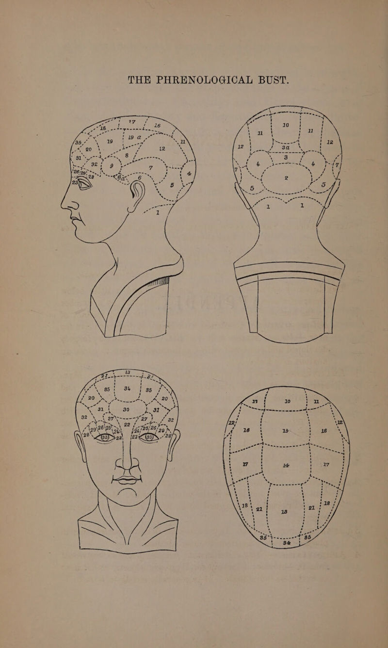 Z THE PHRENOLOGICAL BUST. 17 t § $ e aL { == t : ‘ * ; ' ‘ a 4 ' : 4 1 x ‘ Q a) 1 ' ‘ 6 i ry ; H ' ; ze re U oN wen een eh ee ‘seen pe ie uot c-enne 9 i Peruana cee TY TdasaneA -® \ A / \ ‘ ; : ‘ wee” S S 5 tern” Ln e at ees ‘ BY t cr Cee eee ha 30 a7 if ee Sse 7 Ee > 27> \ ~ bs