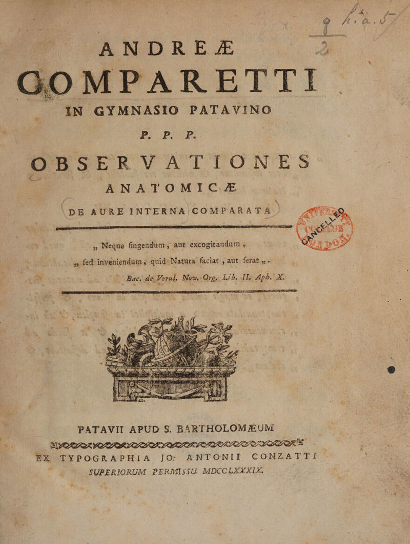 PARETTI '1N GYMNASIO PATAVINO popu OBSER VATIONES ANATOMICAJE 'DE AURE INTERNA COMPARATA Pis. ec gen Dux /.9$, Neque fingesdum , aut excogitandum , UO x 5 | o fed inveniendum , quid Natura faciat , aut. ferat 4» j 1 Pd j Bac. de, Verdl. Nov. Org. Lb. IT: Ap. DR