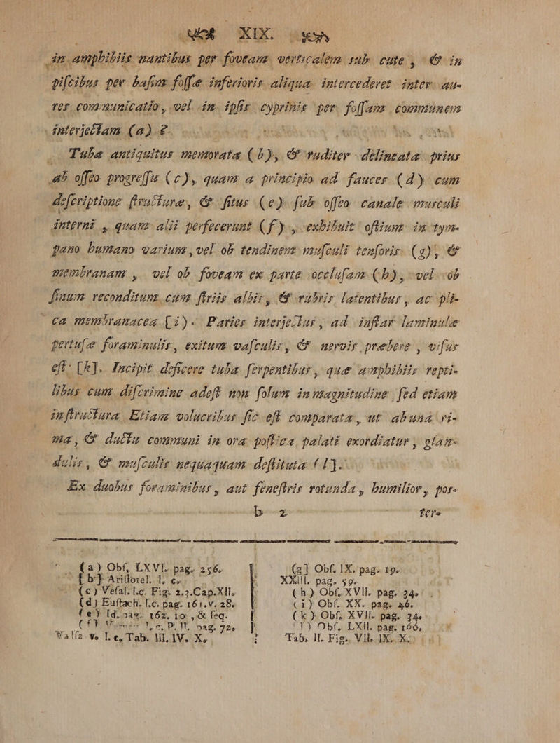 n. amphiliis TERR NT fovtan. €— jb ce, € ip aifibu pee. &amp;afizz foff.e inferiorir aliqua. intercederet. inter. aa- rer, communicatio , vel dm. ipfis. opt 5 per foffams communem dpterjecdam (a).2- Mns x Y^ WA Vues! Tula antiquitus maeiorata (49d. e Nd UN prius ab offeo progreT (c), quam a principio ad faucer (d): cum | diferiptione fracture, &amp; ftus (e) fub offro canale murculi interni s quan alii perfecerunt (f ) y exbibuit | ofliunz: dn tym- pamo bumano varium ,vel ob tendinem mu[culi tenforir. (g), €&amp; membranam , wel ob foveam ex parte ocelufam (b) , vel. «ob inum. veconditum. cum ftris allie, &amp;&amp; vubrir. latentibur , ac pli- €a meniranacea [31)- Parier interjelar , ad. inflar laminule gertu[e foraminalir, exitum vafculir, Y. neroir prebere , vifus eft: [R].. Pacipit. deficere tuba. ferpentibur , que ampbibiir vepti- libus cum. difcrimine adeft mom. folum. dm magnitudine | fed etiam in ftructura | Etiam voluceibur fic eff comparate, ut. abuna vi- ma,G duffu communi im ora pof/za palati exordiatur , gtam- dulis, € mufculir nequaquam. deflituta (1). Ex duobur foram?nibur, aut feneflris rotunda, bumilior, por- bz ! fer« DECRE ACE paa Viris GEICBENEUEUD AES TUE SR EI puna, 7 VEMLOPVgs Shto SL cues E. ) Obf, LXVI. pas. 256. fb]Ar(o:et 1c (c) Ue t.c. Fig. m .Cap.XIl, (d Euftachi, l.c. pag. 161. v. 28. (e) [d DAS. 162. IO ,&amp; f: eq. (o) Obf. XVI eg 24 TE Vue ? 962 p» us Ev 72» 1 FT ) D bf, LXII. pag. 166, Walfa.we L c, Tab. uL 1V. X : Tab, ll. Fig. VII, 4X. X;