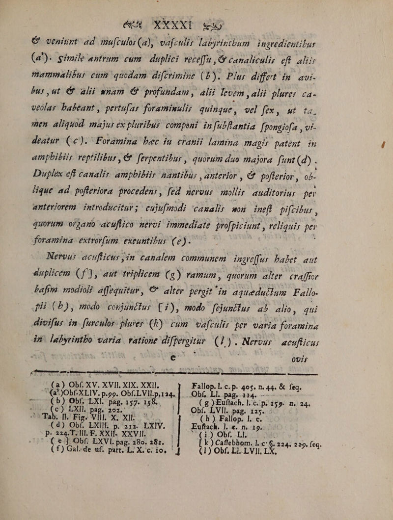 écH XXXXD sup C veniurt ad mu[culoi (a), vafculis labyrintbum dnaredientibur (a). simile antrum cum. duplici rece[fu ,ey canaliculis efl aliis mamalibus cum quodam difcrimine (4). Plur differt im avi bus ut &amp;&amp; alii unam OG profundam, alii levem alii plures ca- veolar babeant , pertu[ar foraminuliy quingue , vel fex, wt ta. men aliquod. majus ex pluribus. compeni. in fubllantia fpongisfa vf- deatur (6). ^ Foramina bec iu cranii lamma magis patent in ampbibiis. veptilibur , €&amp; fevpentibur , quorum diuo majora funt (4). Duplex eft canalir. ampbibiir nantibur , anterior , e? pofterior , ob lique ad pofleriora proceden, fed AErvnr mollir auditoria. pei anteriorem. intvoducituv; cajufmodi camalit mon ineft ifeibus , quorum oi1a5o acuflico nervi mmtdiate profpiciunt , reliquis per foramina extrorfum. exeuntibus (e). Nerous acufticus jin. canalem. communem. inare(fus. babet. aut duplicem (f), aut triplicem (3) ramum , quorum alter. craffror Lafim. modiol? affequitur , € alter. perait in aquedactum Fallo- pii (5), modo. coujunttur T2); nodo. fejunctus ab alio, qui dioifur. in furculor. pluies (k) cum. vafculir per varia foramina in etii. cain varía ratione differgitur (4) - Nerou; acufticus * CC 0Uif (a) Obf. XV. XVII. XIX. XXII. Fallop. 1. c. p. 465. n. 44 &amp; feq.  (a )Obf-XLIV. p.99. Obf. 2 MM Obf, Ll. pag. 114. ^ (b) Obf. LXI. pag. 157. 15 ( g ) Euflach. 1. c. p. I$9- n. 24. (c) LXIl, pag. 202. .—— Obí. LVIl. pag. 12y. - Tab. Il. Fig. Vlll. X. Xll. (h) Fallop. l. c. (d) Obf. LXIIt. p. 212. LXIV. | , Euftach. 1. «. n. 19... P- 224. T. lll. F. XXIf- XXVII. ' (i) Obf. LI. ^o (*] Obf. LXVl.pag. 289. 381. — [ k ) Caffebhom. l. c (224; 1s». feq.
