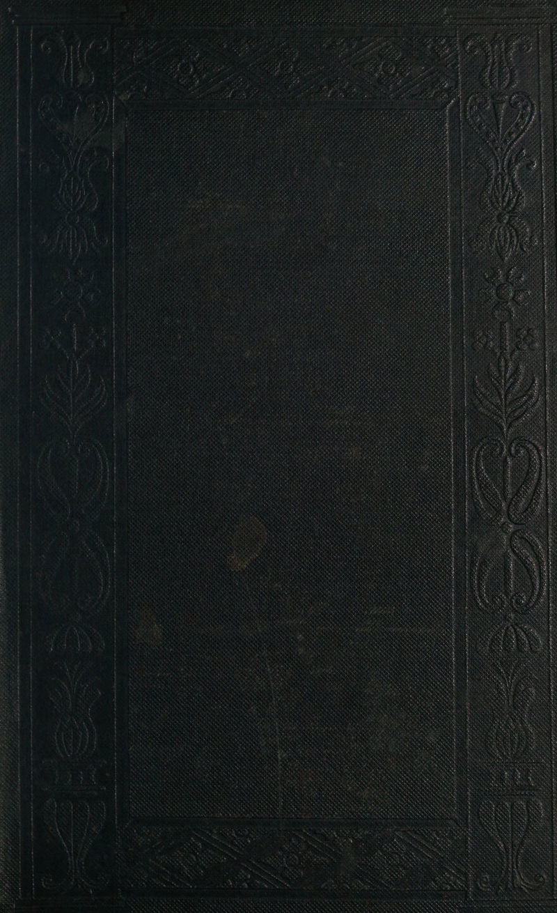 es ee Fea ae ald a BS a $0 Gi sgn pap He . -s SOX ru re x x Bes eK ee , , ar p ae a : ff fF ff fap CLELLT ALAS ELA SAO Rg ig MEO &amp; = trey, ran eR awy: ‘ - : ie Ps ae enn é. os At 7 sete : ; , : eat, - a FAs At OD “ “sae oreo anececemseneres J ‘ a ee “rs iar am wipe hedaman ght aS ag ee Sie BT By Yee eng ceetees —F' iy es é Se eee wr pene sa soe ee a ee ae 2 SER eal caeoes