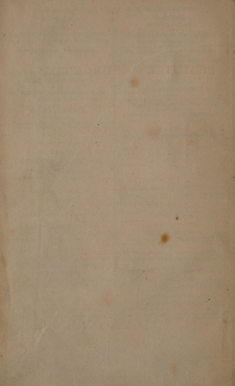 ay v4 Parede bl oN, Ta ee a ‘4 , By faa