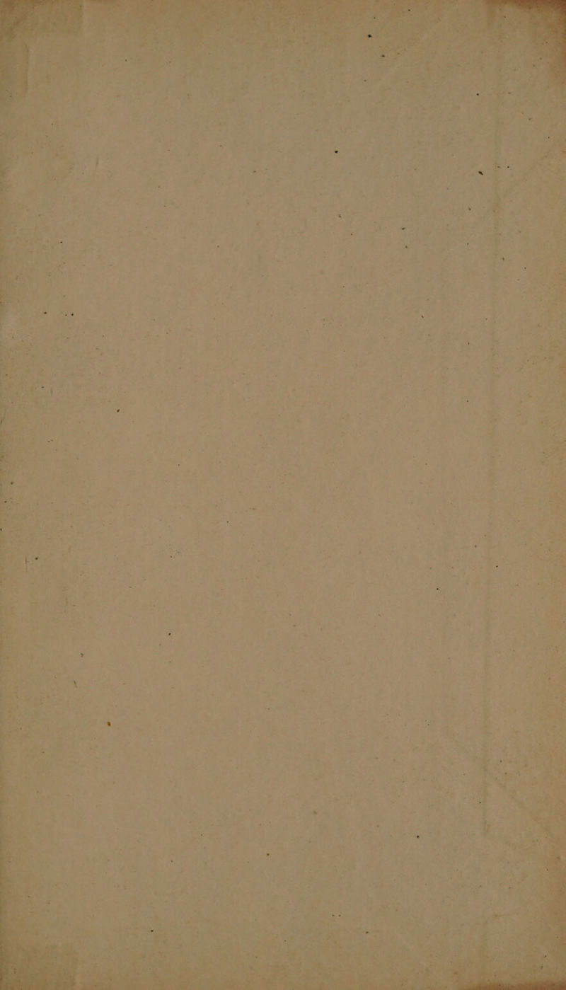 F ’ “tty ae = >, fi - 2 ee ’ t WEEN Gy