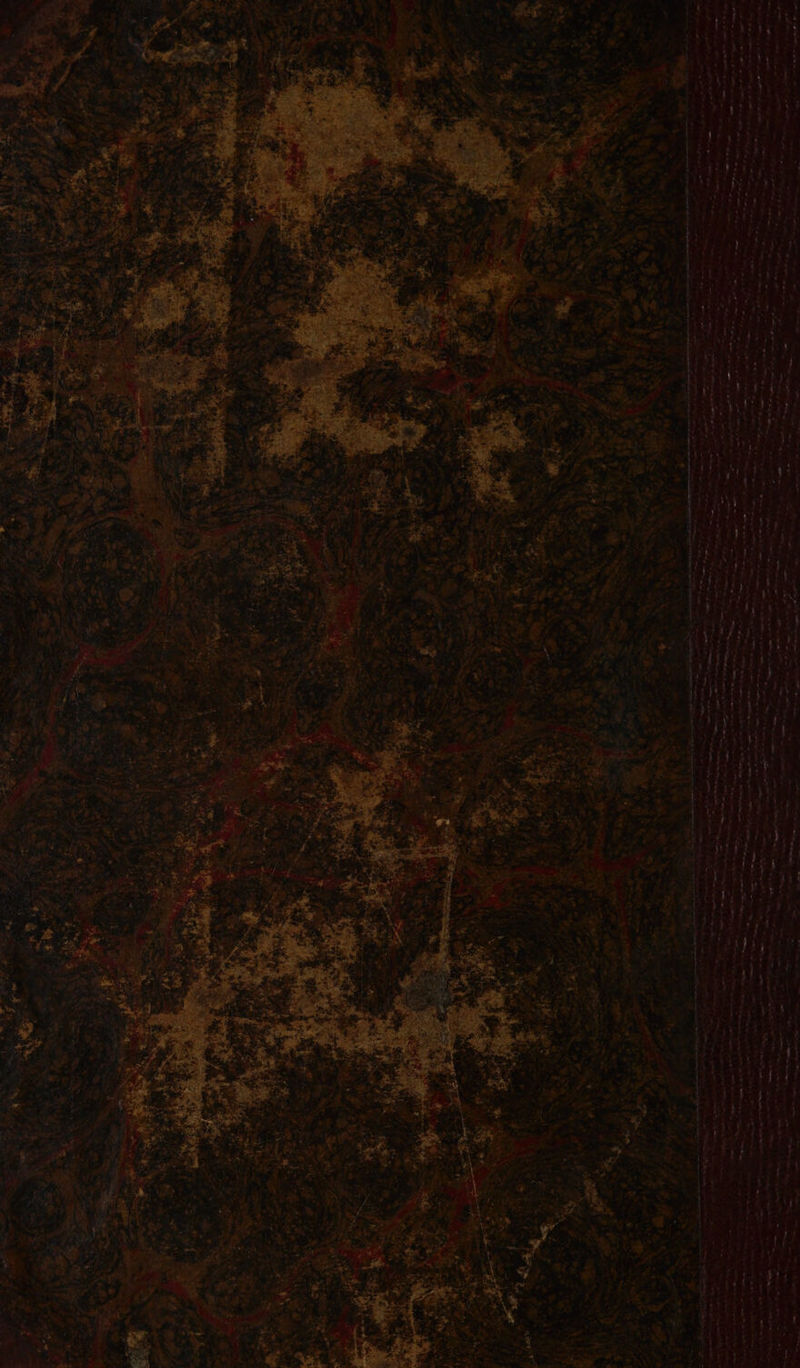 Ta deme ane j ee ae . ~ * 2 em x ; : | a | : &lt;-* ~* a &gt;a ee i a ms etn. nafeatios ; : Pig 5 ee Lee Sell : . Bila 5 7 des Ber revs . ae te cal — ne eee Ney ~~ ; - — oh sy Senin oe eats ee oe - ao ~ — re ay i“ ’ Tae . ~ hRiialeme ieee ied oP bmiass “ . Di ce paatbarepores rs and el ohh . SO OO i a et coe ee ae nem Fe Ne gs a a ae ib he etna = | a - init ight to = | | | | Se er Ne : = . art eee er «tm os MM Spe tina 3 6 Oy one AA ae tit, rhe I IE OTIS tay a SR ae Sly Ss ae 3 whee. ‘Spay ad tl ay ote eas ul