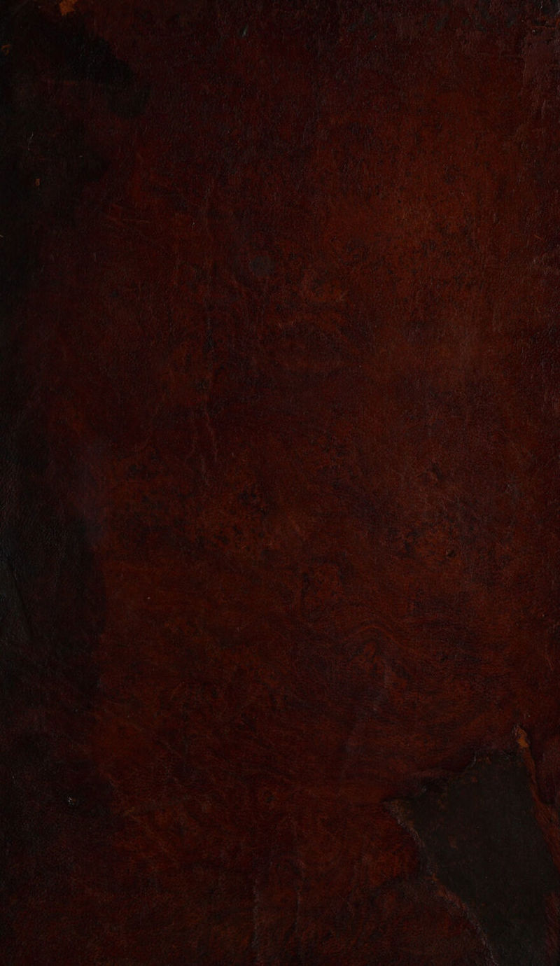 No text description is available for this image