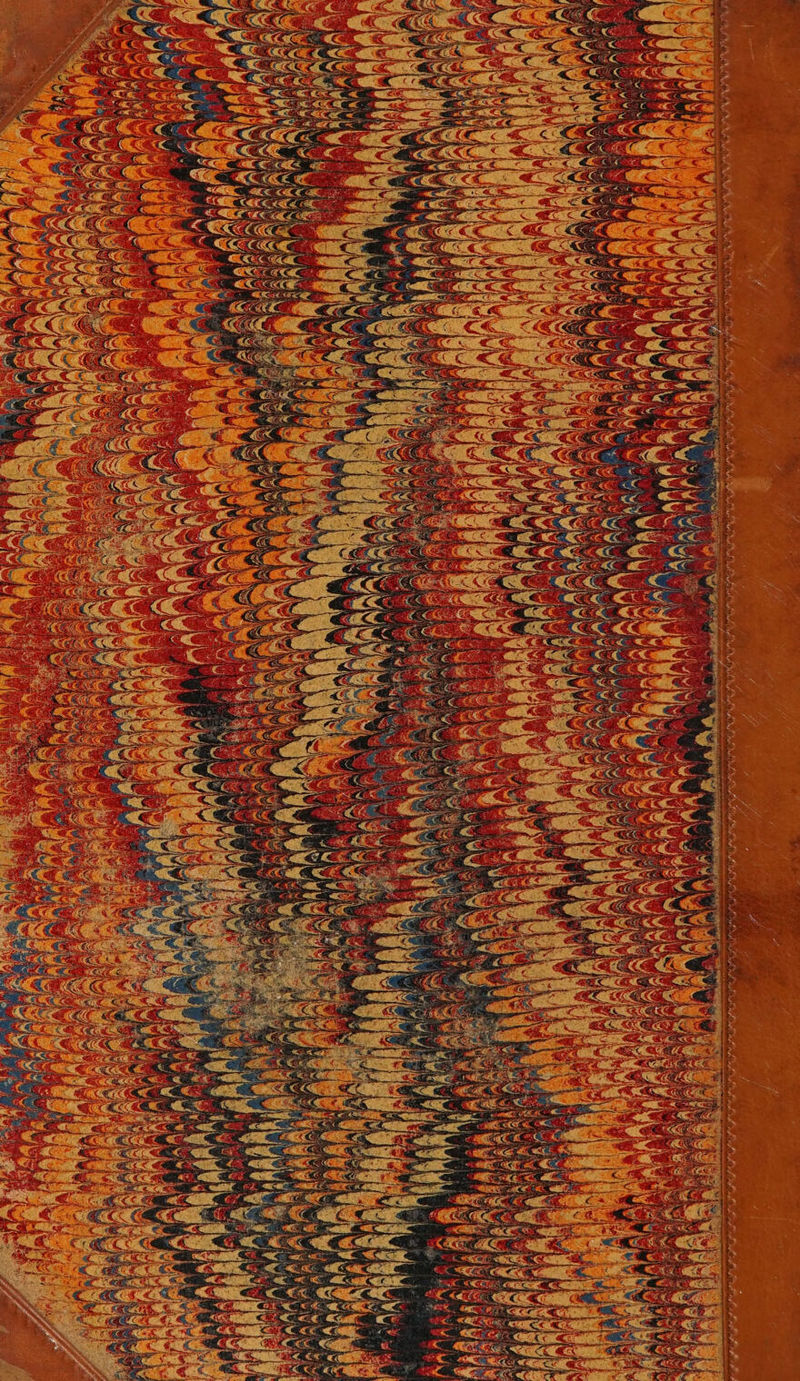 No text description is available for this image