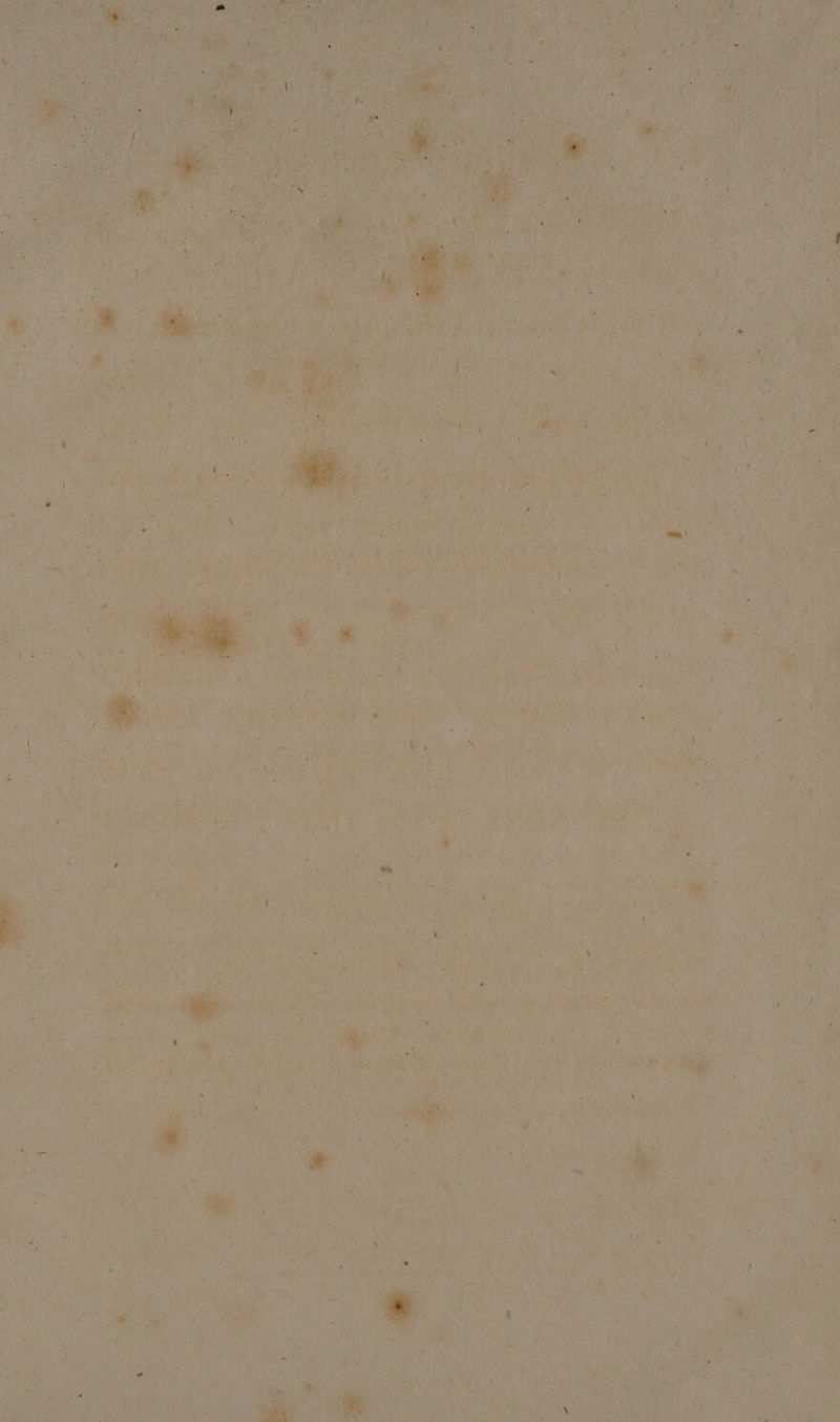 y* ¥ ¥ bis A Aa: See FY, vy he Bay ks i ie eee : i