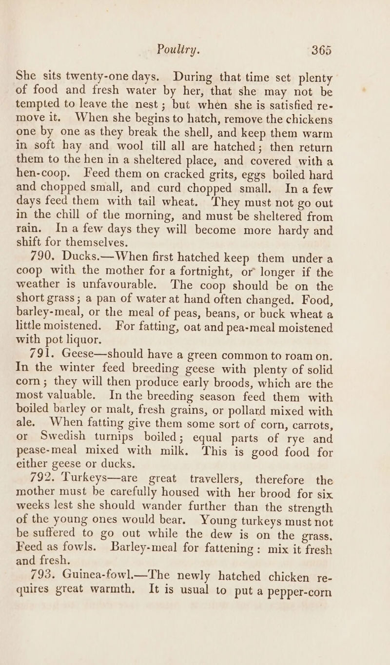 She sits twenty-one days. During that time set plenty of food and fresh water by her, that she may not be tempted to leave the nest; but when she is satisfied re- move it. When she begins to hatch, remove the chickens one by one as they break the shell, and keep them warm in soft hay and wool till all are hatched; then return them to the hen in a sheltered place, and covered with a hen-coop. Feed them on cracked grits, eggs boiled hard and chopped small, and curd chopped small. Ina few days feed them with tail wheat. ‘They must not go out in the chill of the morning, and must be sheltered from rain. In a few days they will become more hardy and shift for themselves. 790, Ducks.—When first hatched keep them under a coop with the mother for a fortnight, or longer if the weather is unfavourable. The coop should be on the short grass; a pan of water at hand often changed. Food, barley-meal, or the meal of peas, beans, or buck wheat a little moistened. For fatting, oat and pea-meal moistened with pot liquor. 791. Geese—should have a green common to roam on. In the winter feed breeding geese with plenty of solid com; they will then produce early broods, which are the most valuable. Inthe breeding season feed them with boiled barley or malt, fresh grains, or pollard mixed with ale. When fatting give them some sort of corn, carrots, or Swedish turnips boiled; equal parts of rye and pease-meal mixed with milk. This is good food for either geese or ducks, 792. ‘Turkeys—are great travellers, therefore the mother must be carefully housed with her brood for six weeks lest she should wander further than the strength of the young ones would bear. Young turkeys must not be suffered to go out while the dew is on the grass. Feed as fowls. Barley-meal for fattening : mix it fresh and fresh. 793. Guinea-fowl.—The newly hatched chicken re- quires great warmth, It is usual to put a pepper-corn