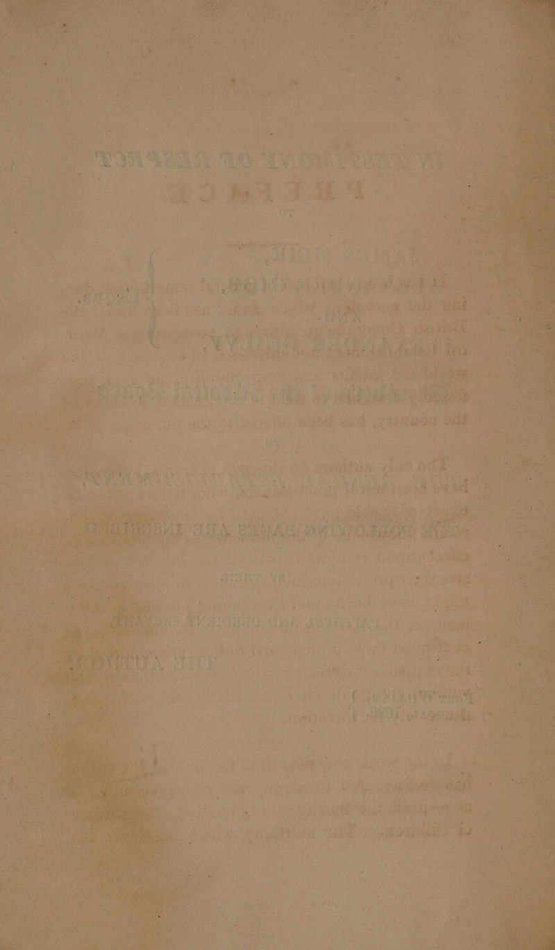 Por ne Pye XS 9. AY sh prea: i 72. ‘ . iy pont Bue he. , ra {hate Ao +P we a gana Le Oey me mw AS _ * # ; aes, POEL hee’ 1ag GES Je eee ’ s ‘ ry iT oe . . ‘ ESTAS AAD a a 4 - ’ tA @5 she . Te Frh hg