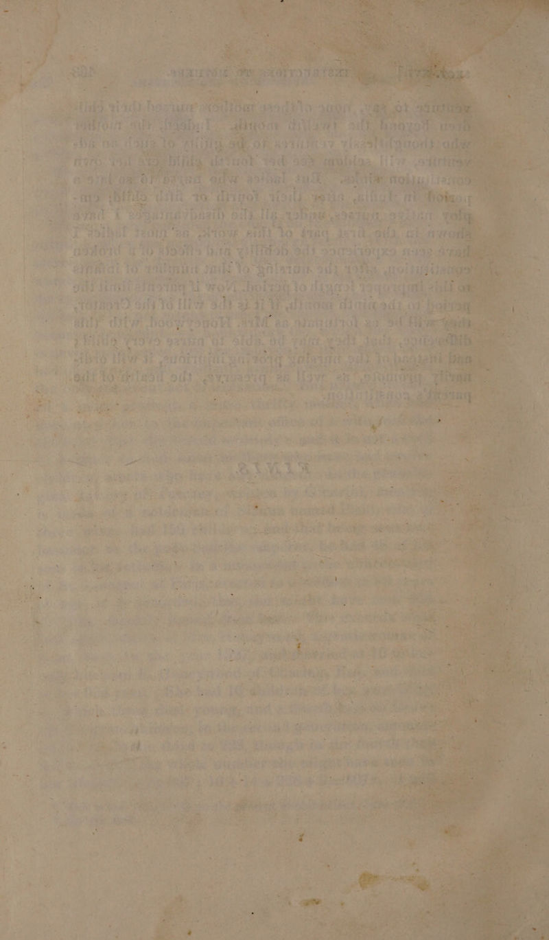 . wr’ \ hast | sbi: be x 5 K Who of > oe. aid (HES “diva 10 dis fe On 7 nt : hi gh nay bai + 3 ht F # hes Be . ce ae