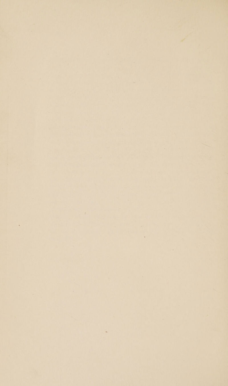 ‘ a +4 mn ie it, a eK en af ¢ Pa 7 —