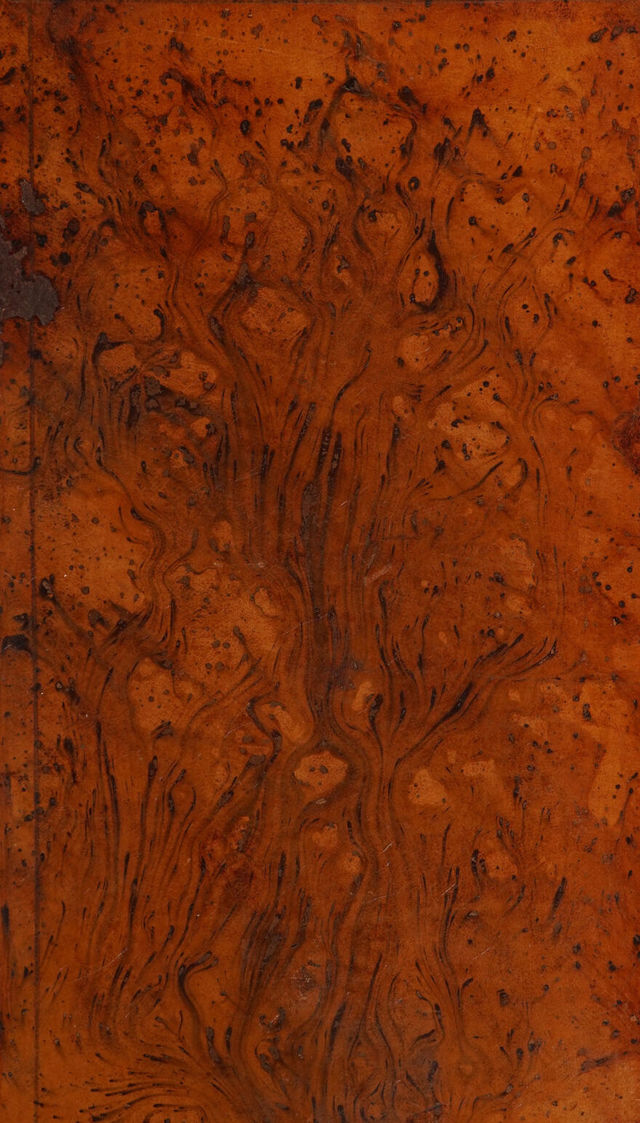 No text description is available for this image