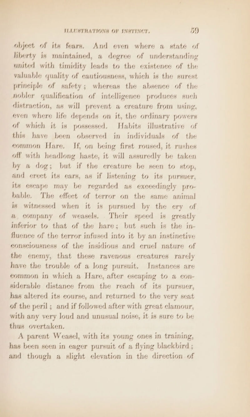 il ILLUAIUNATIONS OV INWTINOT, 5Y objet of ite fears, And even where » state of liberty i# maintained, a degree of understanding united with timidity leads to the existence of the valuable quality of cautiousness, which ia the surest principle of safety; whereas the absence of the nobler qualification of intelligence produces such distraction, a4 will prevent w creature from using, even, where life depends on it, the ordinary powers of which it is possessed. Habite illustrative of thie have been observed in individuals of the common Hare. If, on being first roused, it rushes MN with headlong haste, it will assuredly be taken by » dog; but if the creature be seen to stop, and erect ita care, as if listening to ite pursuer, ite cecape may be regarded as exceedingly pro- bable. The elect of terror on the same animal is witnessed when it is pursued by the ery of a company of weasels. Their speed ia greatly inferior to that of the hare; but such is the in- fluence of the terror infused into it by an instinctive consciousness of the insidious and cruel nature of the enemy, that these ravenous creatures rarely have the trouble of a long pursuit. Instances are common in which a Hare, after escaping to a con- siderable distance from the reach of ite pursuer, has altered its course, and returned to the very seat of the peril; and if followed after with great clamour, with any very loud and unusual noise, it is sure to be thus overtaken. A parent Weasel, with its young ones in training, has been seen in eager pursuit of a flying blackbird ; and though a slight elevation in the direction of