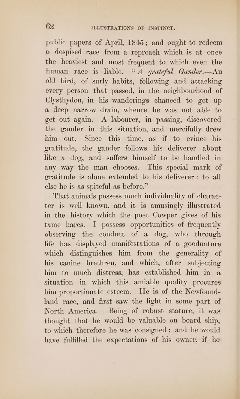 public papers of April, 1845; and ought to redeem a despised race from a reproach which is at once the heaviest and most frequent to which even the human race is liable. “A grateful Gander.—An old bird, of surly habits, following and attacking every person that passed, in the neighbourhood of Clysthydon, in his wanderings chanced to get up a deep narrow drain, whence he was not able to get out again. A labourer, in passing, discovered the gander in this situation, and mercifully drew him out. Since this time, as if to evince his gratitude, the gander follows his deliverer about like a dog, and suffers himself to be handled in any way the man chooses. This special mark of gratitude is alone extended to his deliverer: to all else he is as spiteful as before.” That animals possess much individuality of charac- ter is well known, and it is amusingly illustrated in the history which the poet Cowper gives of his tame hares. I possess opportunities of frequently observing the conduct of a dog, who through life has displayed manifestations of a goodnature which distinguishes him from the generality of his canine brethren, and which, after subjecting him to much distress, has established him in a situation in which this amiable quality procures him proportionate esteem. He is of the Newfound- land race, and first saw the light in some part of North America. Being of robust stature, it was thought that he would be valuable on board ship, to which therefore he was consigned ; and he would have fulfilled the expectations of his owner, if he