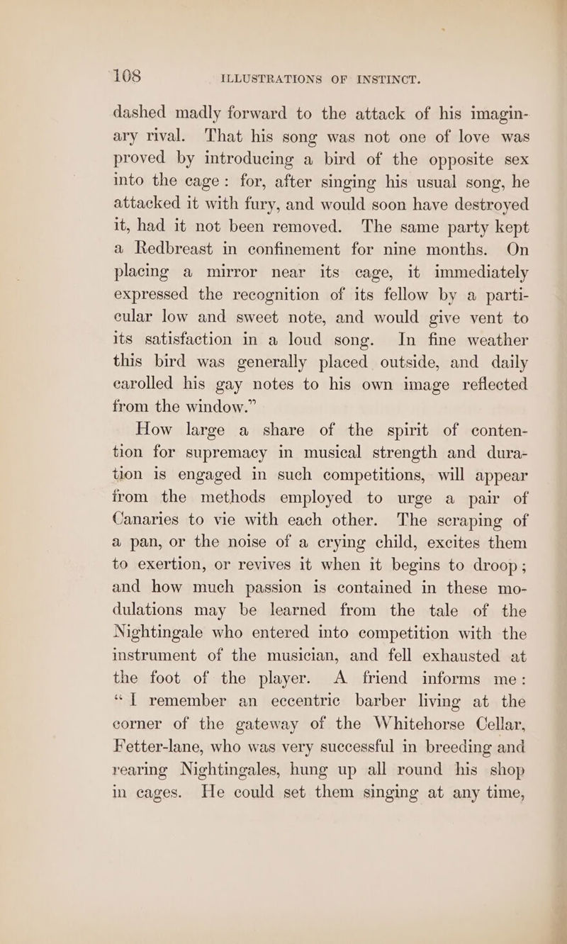 dashed madly forward to the attack of his imagin- ary rival. That his song was not one of love was proved by introducing a bird of the opposite sex into the cage: for, after singing his usual song, he attacked it with fury, and would soon have destroyed it, had it not been removed. The same party kept a Redbreast in confinement for nine months. On placing a mirror near its cage, it immediately expressed the recognition of its fellow by a parti- cular low and sweet note, and would give vent to its satisfaction in a loud song. In fine weather this bird was generally placed outside, and daily earolled his gay notes to his own image reflected from the window.” How large a share of the spirit of conten- tion for supremacy in musical strength and dura- tion is engaged in such competitions, will appear irom the methods employed to urge a pair of Canaries to vie with each other. The scraping of a pan, or the noise of a crying child, excites them to exertion, or revives it when it begins to droop; and how much passion is contained in these mo- dulations may be learned from the tale of the Nightingale who entered into competition with the instrument of the musician, and fell exhausted at the foot of the player. A friend informs me: ‘[ remember an eccentric barber living at the corner of the gateway of the Whitehorse Cellar, Fetter-lane, who was very successful in breeding and rearing Nightingales, hung up all round his shop in cages. He could set them singing at any time,