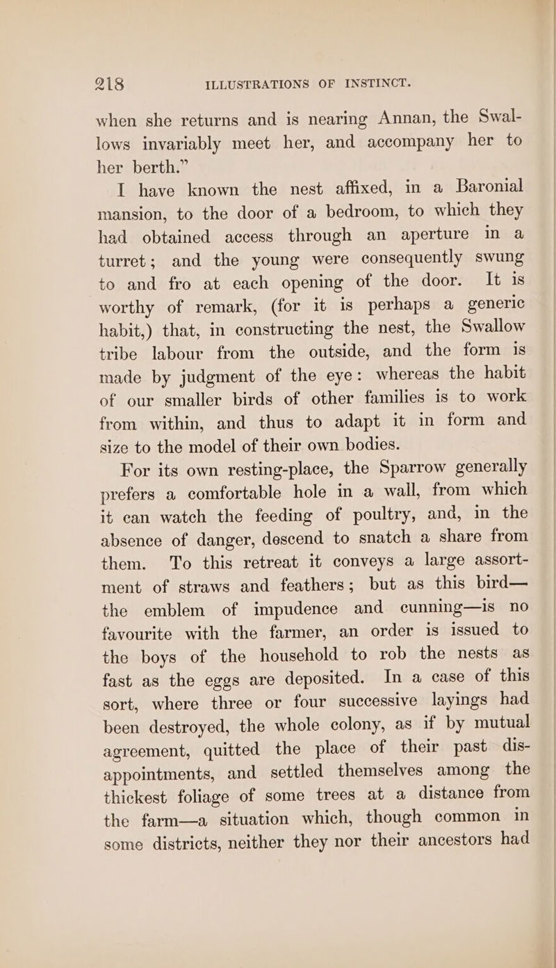 when she returns and is nearing Annan, the Swal- lows invariably meet her, and accompany her to her berth.” I have known the nest affixed, in a Baronial mansion, to the door of a bedroom, to which they had obtained access through an aperture in a turret; and the young were consequently swung to and fro at each opening of the door. It is worthy of remark, (for it is perhaps a generic habit,) that, in constructing the nest, the Swallow tribe labour from the outside, and the form 1s made by judgment of the eye: whereas the habit of our smaller birds of other families is to work from within, and thus to adapt it in form and size to the model of their own bodies. For its own resting-place, the Sparrow generally prefers a comfortable hole in a wall, from which it can watch the feeding of poultry, and, m the absence of danger, descend to snatch a share from them. To this retreat it conveys a large assort- ment of straws and feathers; but as this bird— the emblem of impudence and cunning—is no favourite with the farmer, an order is issued to the boys of the household to rob the nests as fast as the eggs are deposited. In a case of this sort, where three or four successive layings had been destroyed, the whole colony, as if by mutual agreement, quitted the place of their past dis- appointments, and settled themselves among the thickest foliage of some trees at a distance from the farm—a situation which, though common in some districts, neither they nor their ancestors had