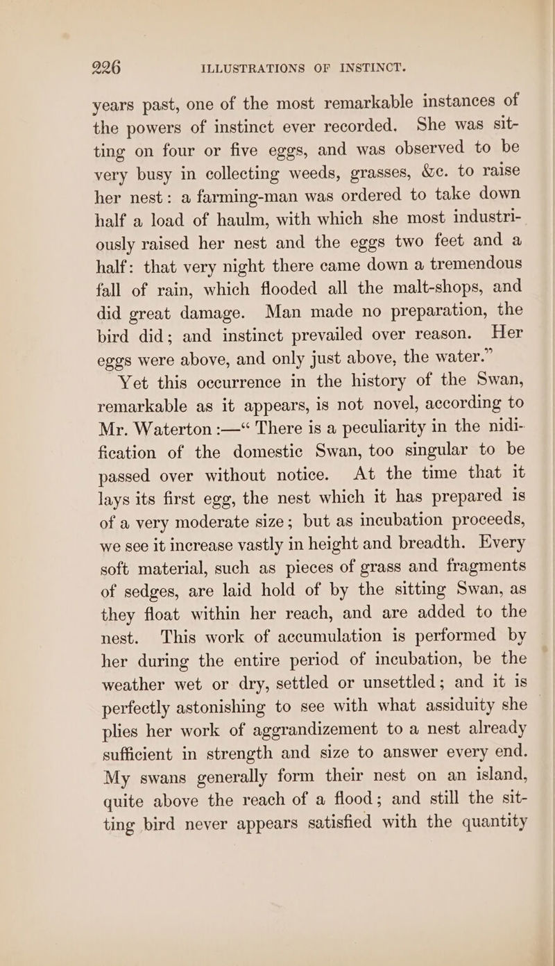 years past, one of the most remarkable instances of the powers of instinct ever recorded, She was sit- ting on four or five eggs, and was observed to be very busy in collecting weeds, grasses, &amp;c. to raise her nest: a farming-man was ordered to take down half a load of haulm, with which she most industri- ously raised her nest and the eggs two feet and a half: that very night there came down a tremendous fall of rain, which flooded all the malt-shops, and did great damage. Man made no preparation, the bird did; and instinct prevailed over reason. Her eggs were above, and only just above, the water.” Yet this occurrence in the history of the Swan, remarkable as it appears, is not novel, according to Mr. Waterton :—“ There is a peculiarity in the nidi- fication of the domestic Swan, too singular to be passed over without notice. At the time that it lays its first egg, the nest which it has prepared 1S of a very moderate size; but as incubation proceeds, we see it increase vastly in height and breadth. Every soft material, such as pieces of grass and fragments of sedges, are laid hold of by the sittmg Swan, as they float within her reach, and are added to the nest. This work of accumulation is performed by her during the entire period of incubation, be the weather wet or dry, settled or unsettled; and it is perfectly astonishing to see with what assiduity she | plies her work of aggrandizement to a nest already sufficient in strength and size to answer every end. My swans generally form their nest on an island, quite above the reach of a flood; and still the sit- ting bird never appears satisfied with the quantity