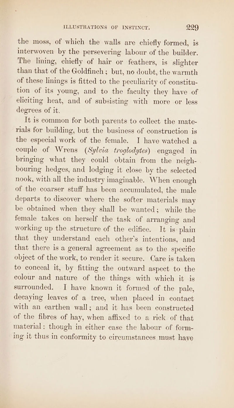 the moss, of which the walls are chiefly formed, is interwoven by the persevering labour of the builder. The lining, chiefly of hair or feathers, is slighter than that of the Goldfinch ; but, no doubt, the warmth of these linings is fitted to the peculiarity of constitu- tion of its young, and to the faculty they have of eliciting heat, and of subsisting with more or less degrees of it. It is common for both parents to collect the mate- rials for building, but the business of construction is the especial work of the female. I have watched a couple of Wrens (Sylvia troglodytes) engaged in bringing what they could obtain from the neigh- bouring hedges, and lodging it close by the selected nook, with all the industry imaginable. When enough of the coarser stuff has been accumulated, the male departs to discover where the softer materials may be obtained when they shall be wanted; while the female takes on herself the task of arranging and working up the structure of the edifice. It is: plain that they understand each other’s intentions, and that there is a general agreement as to the specific object of the work, to render it secure. Care is taken to conceal it, by fitting the outward aspect to the colour and nature of the things with which it is surrounded. I have known it formed of the pale, decaying leaves of a tree, when placed in contact with an earthen wall; and it has been constructed of the fibres of hay, when affixed to a rick of that material: though in either case the labour of form- ing it thus in conformity to circumstances must have