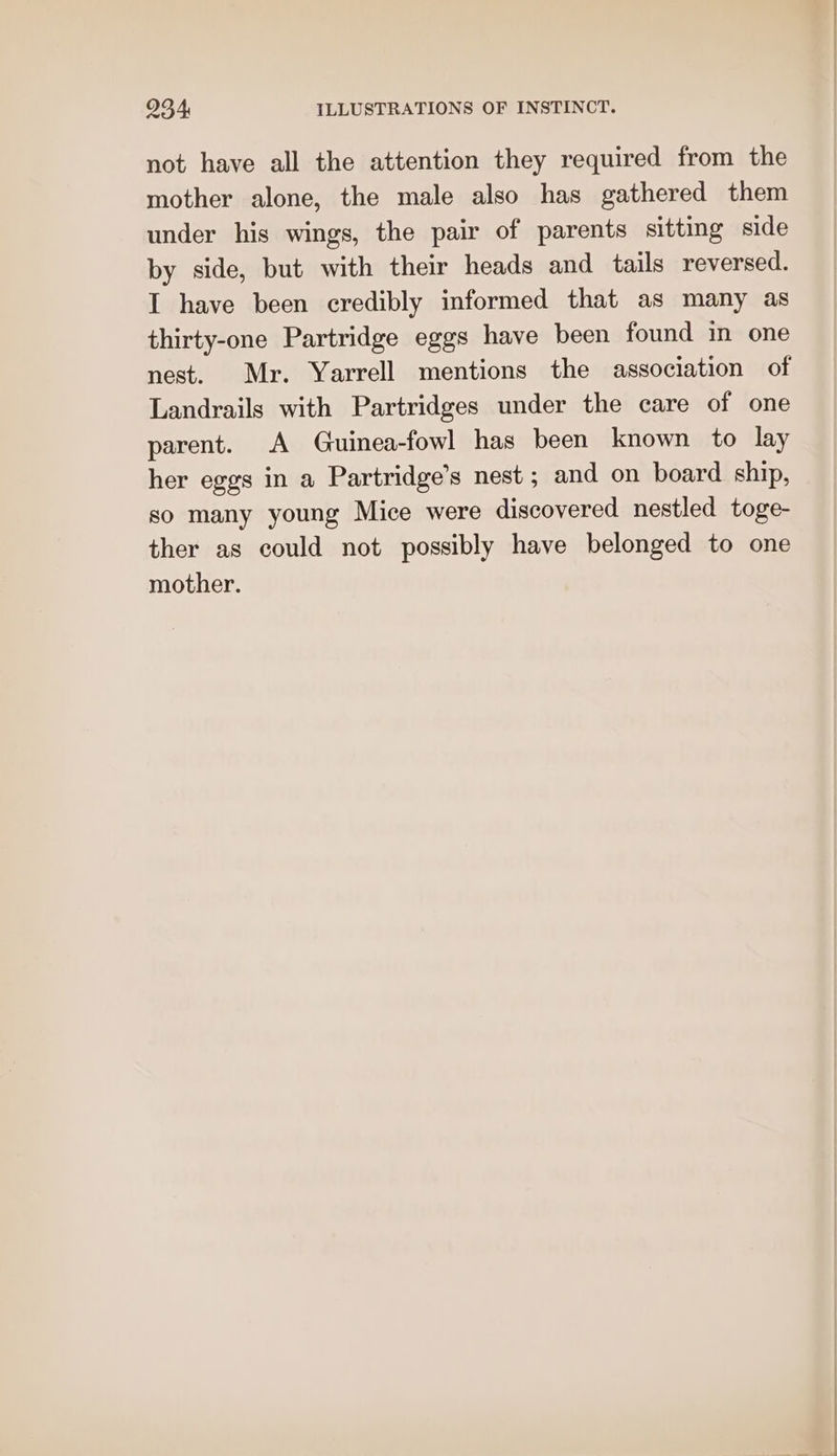 not have all the attention they required from the mother alone, the male also has gathered them under his wings, the pair of parents sitting side by side, but with their heads and tails reversed. I have been credibly informed that as many as thirty-one Partridge eggs have been found in one nest. Mr. Yarrell mentions the association of Landrails with Partridges under the care of one parent. A Guinea-fowl has been known to lay her eggs in a Partridge’s nest; and on board ship, so many young Mice were discovered nestled toge- ther as could not possibly have belonged to one mother.
