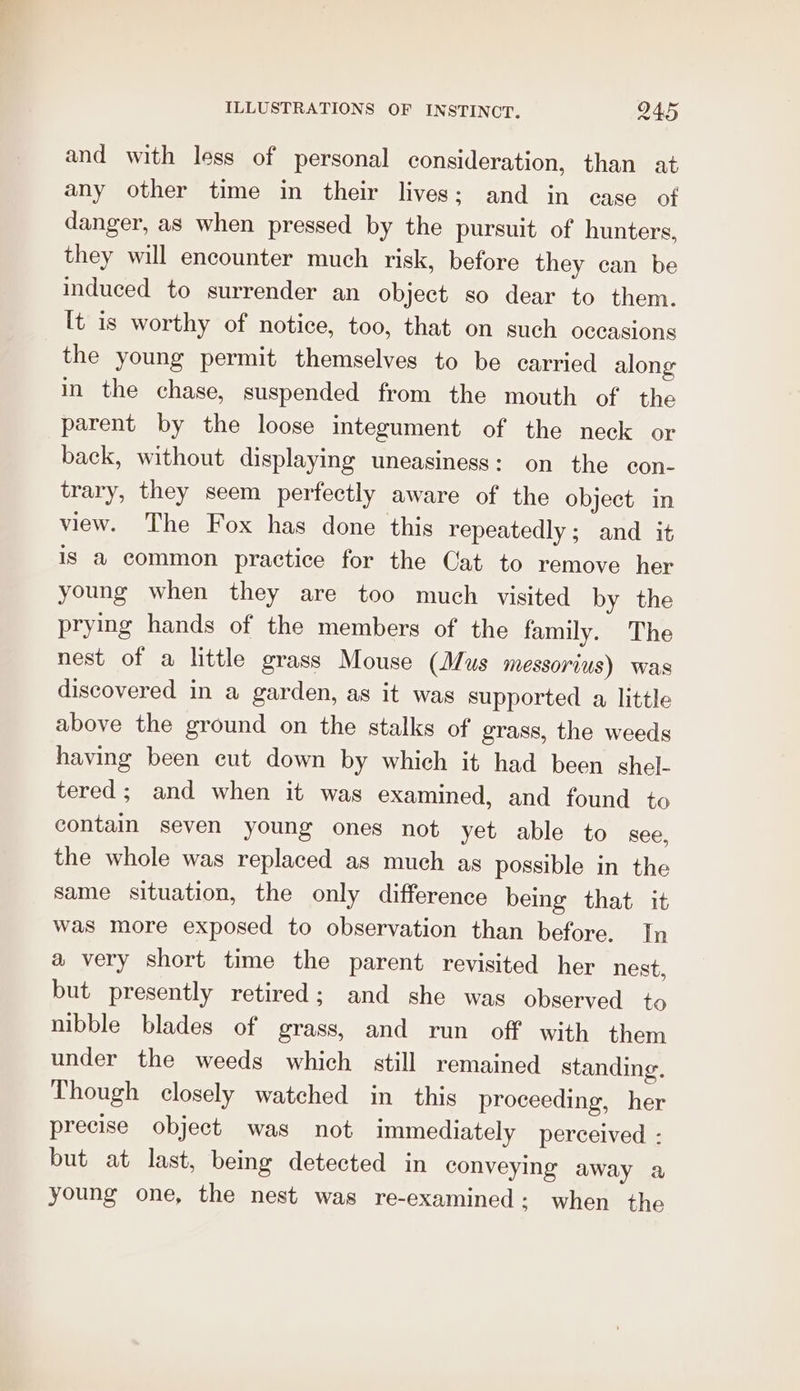 and with less of personal consideration, than at any other time in their lives; and in ease of danger, as when pressed by the pursuit of hunters, they will encounter much risk, before they can be induced to surrender an object so dear to them. [t is worthy of notice, too, that on such occasions the young permit themselves to be carried along in the chase, suspended from the mouth of the parent by the loose integument of the neck or back, without displaying uneasiness: on the con- trary, they seem perfectly aware of the object in view. The Fox has done this repeatedly; and it is a@ common practice for the Cat to remove her young when they are too much visited by the prying hands of the members of the family. The nest of a little grass Mouse (Mus messorius) Was discovered in a garden, as it was supported a little above the ground on the stalks of grass, the weeds having been eut down by which it had been shel- tered; and when it was examined, and found to contain seven young ones not yet able to see, the whole was replaced as much as possible in the same situation, the only difference being that it was more exposed to observation than before. In a very short time the parent revisited her nest, but presently retired; and she was observed to nibble blades of grass, and run off with them under the weeds which still remained standing. Though closely watched in this proceeding, her precise object was not immediately perceived - but at last, being detected in conveying away a young one, the nest was re-examined: when the