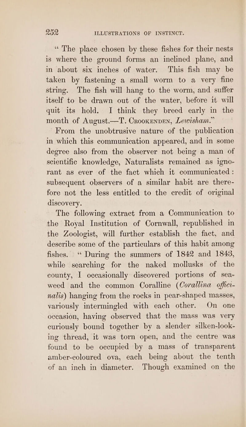 “The place chosen by these fishes for their nests is where the ground forms an inclined plane, and in about six inches of water. This fish may be taken by fastening a small worm to a very fine string. The fish will hang to the worm, and suffer itself to be drawn out of the water, before it will quit its hold. I think they breed early in the month of August.—T. Crooxenpen, Lewisham.” From the unobtrusive nature of the publication in which this communication appeared, and in some degree also from the observer not being a man of scientific knowledge, Naturalists remained as igno- rant as ever of the fact which it communicated : subsequent observers of a similar habit are there- fore not the less entitled to the credit of original discovery. The following extract from a Communication to the Royal Institution of Cornwall, republished in the Zoologist, will further establish the fact, and describe some of the particulars of this habit among fishes. ‘“ During the summers of 1842 and 1845, while searching for the naked mollusks of the county, I occasionally discovered portions of sea- weed and the common Coralline (Corallina offici- nalis) hanging from the rocks in pear-shaped masses, variously intermingled with each other. On one occasion, having observed that the mass was very curiously bound together by a slender silken-look- ing thread, it was torn open, and the centre was found to be occupied by a mass of transparent amber-coloured ova, each being about the tenth of an inch in diameter. Though examined on the