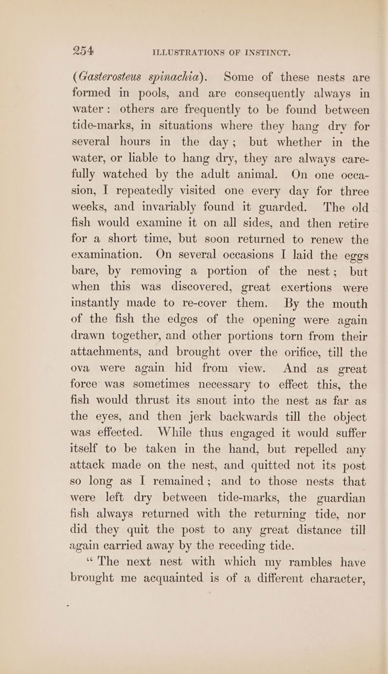 (Gasterosteus spinachia). Some of these nests are formed in pools, and are consequently always in water: others are frequently to be found between tide-marks, in situations where they hang dry for several hours in the day; but whether in the water, or liable to hang dry, they are always care- fully watched by the adult animal. On one occa- sion, I repeatedly visited one every day for three weeks, and invariably found it guarded. The old fish would examine it on all sides, and then retire for a short time, but soon returned to renew the examination. On several occasions I laid the eggs bare, by removing a portion of the nest; but when this was discovered, great exertions were instantly made to re-cover them. By the mouth of the fish the edges of the opening were again drawn together, and other portions torn from their attachments, and brought over the orifice, till the ova were again hid from view. And as great force was sometimes necessary to effect this, the fish would thrust its snout into the nest as far as the eyes, and then jerk backwards till the object was effected. While thus engaged it would suffer itself to be taken in the hand, but repelled any attack made on the nest, and quitted not its post so long as I remained; and to those nests that were left dry between tide-marks, the guardian fish always returned with the returning tide, nor did they quit the post to any great distance till again carried away by the receding tide. “The next nest with which my rambles have brought me acquainted is of a different character,