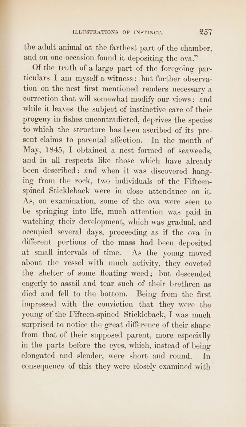 the adult animal at the farthest part of the chamber, and on one occasion found it depositing the ova.” Of the truth of a large part of the foregoing par- ticulars I am myself a witness: but further observa- tion on the nest first mentioned renders necessary a correction that will somewhat modify our views; and while it leaves the subject of instinctive care of their progeny in fishes uncontradicted, deprives the species to which the structure has been ascribed of its pre- sent claims to parental affection. In the month of May, 1845, I obtained a nest formed of seaweeds, and in all respects like those which have already been described; and when it was discovered hang- ing from the rock, two individuals of the Fifteen- spined Stickleback were in close attendance on it. As, on examination, some of the ova were seen to be springing into life, much attention was paid in watching their development, which was gradual, and occupied several days, proceeding as if the ova in different portions of the mass had been deposited at small intervals of time. As the young moved about the vessel with much activity, they coveted the shelter of some floating weed; but descended eagerly to assail and tear such of their brethren as died and fell to the bottom. Being from the first impressed with the conviction that they were the young of the Fifteen-spined Stickleback, I was much surprised to notice the great difference of their shape from that of their supposed parent, more especially in the parts before the eyes, which, instead of being elongated and slender, were short and round. In consequence of this they were closely examined with