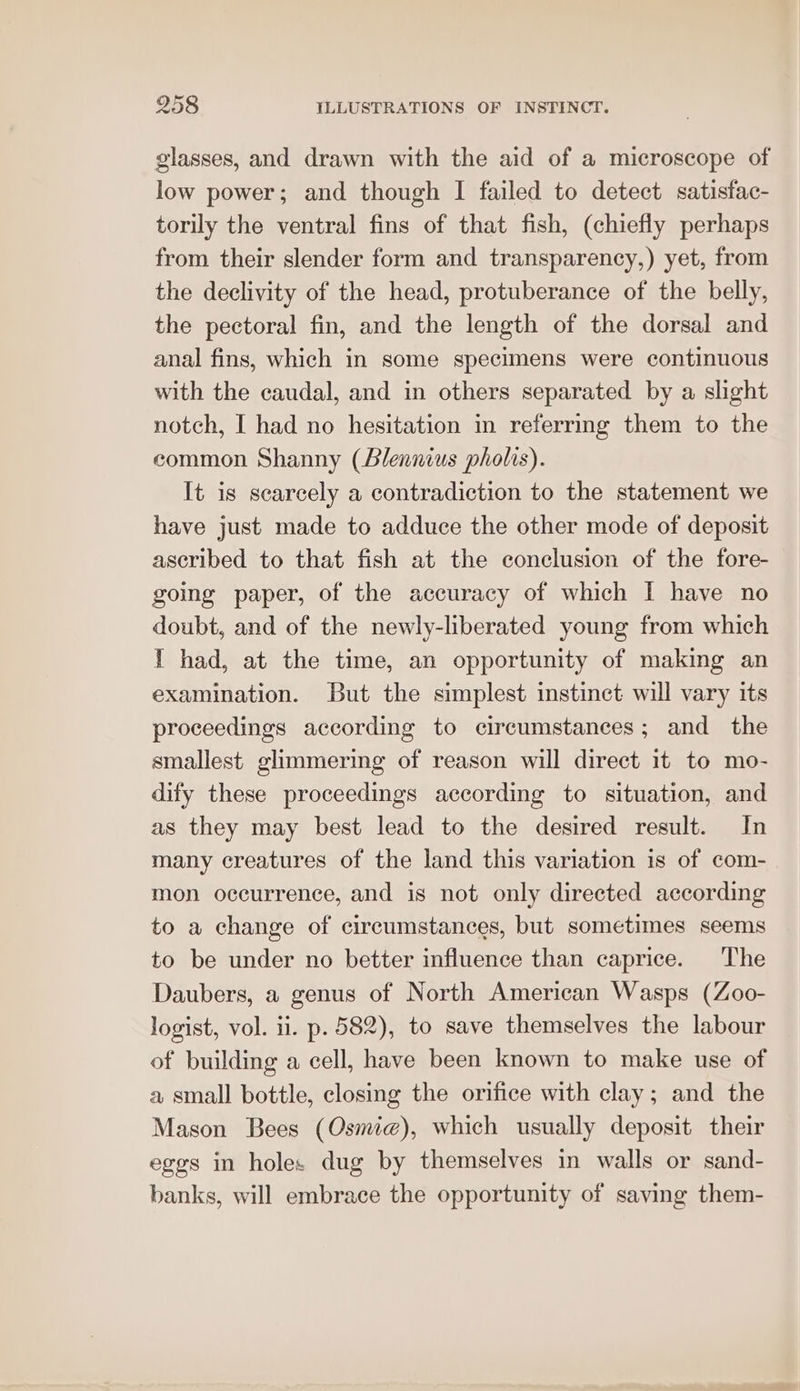 glasses, and drawn with the aid of a microscope of low power; and though I failed to detect satisfac- torily the ventral fins of that fish, (chiefly perhaps from their slender form and transparency,) yet, from the declivity of the head, protuberance of the belly, the pectoral fin, and the length of the dorsal and anal fins, which in some specimens were continuous with the caudal, and in others separated by a slight notch, I had no hesitation in referring them to the common Shanny (Blennius pholis). It is scarcely a contradiction to the statement we have just made to adduce the other mode of deposit ascribed to that fish at the conclusion of the fore- going paper, of the accuracy of which I have no doubt, and of the newly-liberated young from which 1 had, at the time, an opportunity of making an examination. But the simplest instinct will vary its proceedings according to circumstances; and the smallest glimmering of reason will direct it to mo- dify these proceedings according to situation, and as they may best lead to the desired result. In many creatures of the land this variation is of com- mon occurrence, and is not only directed according to a change of circumstances, but sometimes seems to be under no better influence than caprice. The Daubers, a genus of North American Wasps (Zoo- logist, vol. ii. p. 582), to save themselves the labour of building a cell, have been known to make use of a small bottle, closing the orifice with clay; and the Mason Bees (Osmi@), which usually deposit their eggs in holes dug by themselves in walls or sand- banks, will embrace the opportunity of saving them-