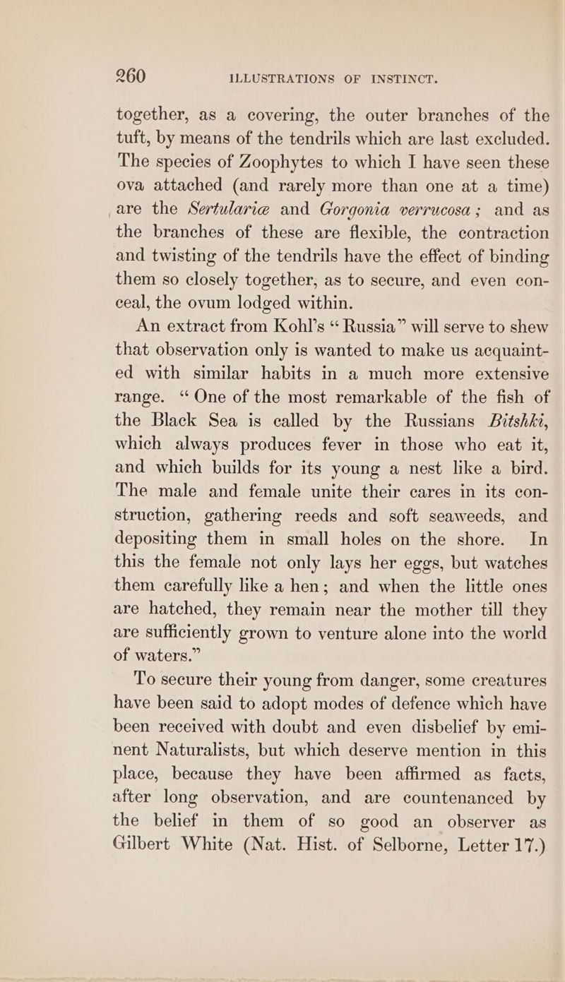 together, as a covering, the outer branches of the tuft, by means of the tendrils which are last excluded. The species of Zoophytes to which I have seen these ova attached (and rarely more than one at a time) are the Sertularie and Gorgonia verrucosa; and as the branches of these are flexible, the contraction and twisting of the tendrils have the effect of binding them so closely together, as to secure, and even con- ceal, the ovum lodged within. An extract from Kohl’s “ Russia” will serve to shew that observation only is wanted to make us acquaint- ed with similar habits in a much more extensive range. ‘One of the most remarkable of the fish of the Black Sea is called by the Russians Bitshhi, which always produces fever in those who eat it, and which builds for its young a nest like a bird. The male and female unite their cares in its con- struction, gathering reeds and soft seaweeds, and depositing them in small holes on the shore. In this the female not only lays her eggs, but watches them carefully like a hen; and when the little ones are hatched, they remain near the mother till they are sufficiently grown to venture alone into the world of waters.” To secure their young from danger, some creatures have been said to adopt modes of defence which have been received with doubt and even disbelief by emi- nent Naturalists, but which deserve mention in this place, because they have been affirmed as facts, after long observation, and are countenanced by the belief in them of so good an observer as Gilbert White (Nat. Hist. of Selborne, Letter 17.)