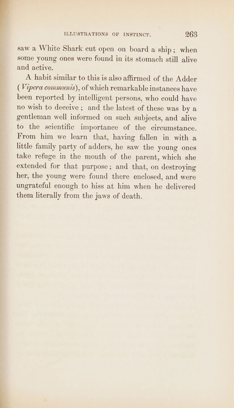 saw a White Shark cut open on board a ship; when some young ones were found in its stomach still alive and active. A habit similar to this is also affirmed of the Adder ( Vipera communis), of which remarkable instances have been reported by intelligent persons, who could have no wish to deceive ; and the latest of these was by a gentleman well informed on such subjects, and alive to the scientific importance of the circumstance. From him we learn that, having fallen in with a little family party of adders, he saw the young ones take refuge in the mouth of the parent, which she extended for that purpose; and that, on destroying her, the young were found there enclosed, and were ungrateful enough to hiss at him when he delivered them literally from the jaws of death.