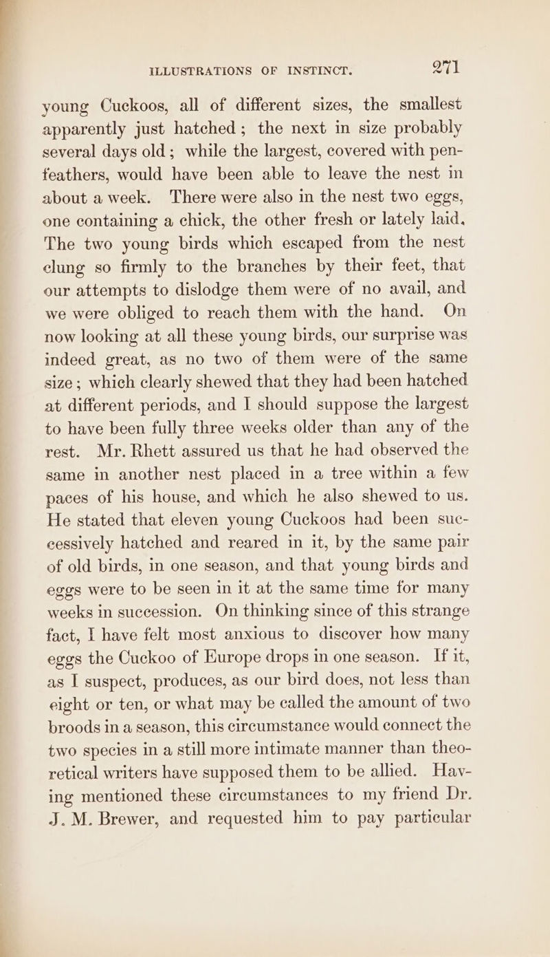 young Cuckoos, all of different sizes, the smallest apparently just hatched; the next in size probably several days old; while the largest, covered with pen- feathers, would have been able to leave the nest in about a week. There were also in the nest two eggs, one containing a chick, the other fresh or lately laid, The two young birds which escaped from the nest clung so firmly to the branches by their feet, that our attempts to dislodge them were of no avail, and we were obliged to reach them with the hand. On now looking at all these young birds, our surprise was indeed great, as no two of them were of the same size ; which clearly shewed that they had been hatched at different periods, and I should suppose the largest to have been fully three weeks older than any of the rest. Mr. Rhett assured us that he had observed the same in another nest placed in a tree within a few paces of his house, and which he also shewed to us. He stated that eleven young Cuckoos had been sue- cessively hatched and reared in it, by the same pair of old birds, in one season, and that young birds and eggs were to be seen in it at the same time for many weeks in succession. On thinking since of this strange fact, I have felt most anxious to discover how many eggs the Cuckoo of Europe drops in one season. If it, as I suspect, produces, as our bird does, not less than eight or ten, or what may be called the amount of two broods in a season, this circumstance would connect the two species in a still more intimate manner than theo- retical writers have supposed them to be allied. Hav- ing mentioned these circumstances to my friend Dr. J. M. Brewer, and requested him to pay particular